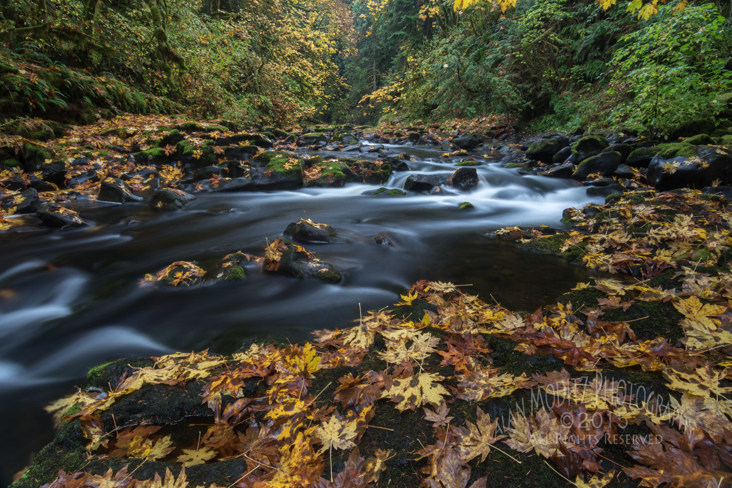 Canon EOS 7D Mark II sample photo. Autumn, cedar creek photography