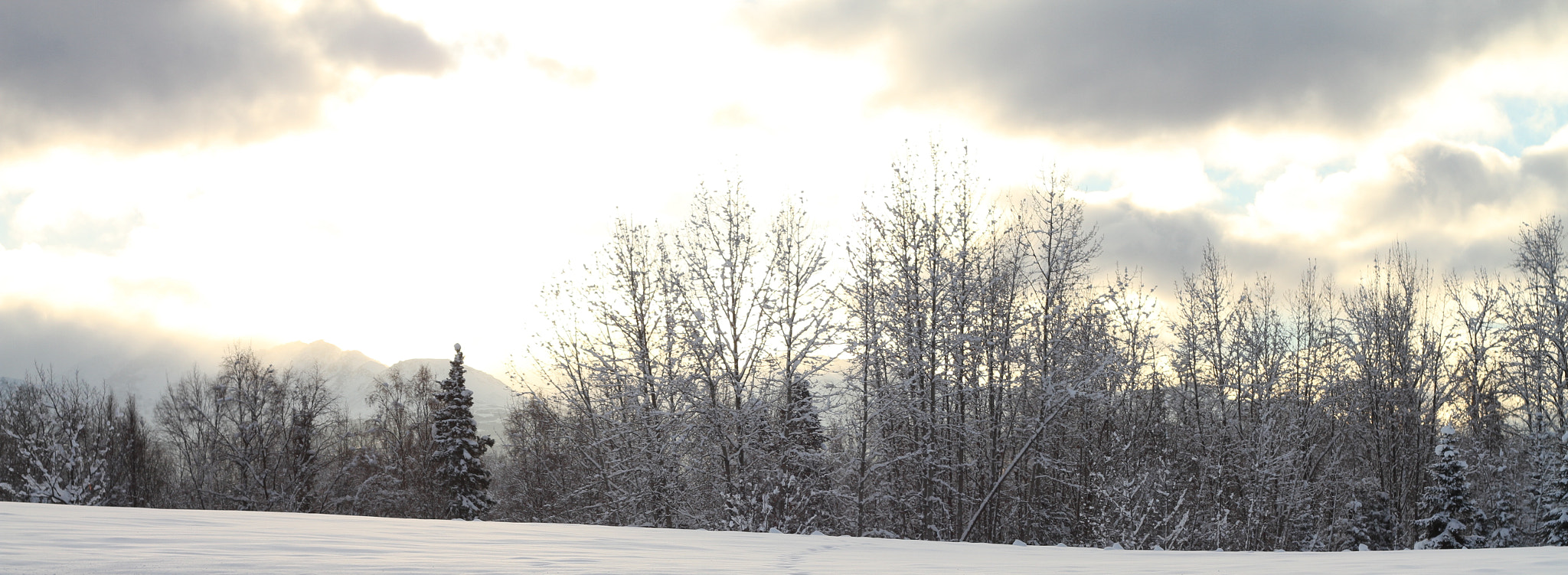 Canon EF 50mm f/1.8 sample photo. Alaska photography