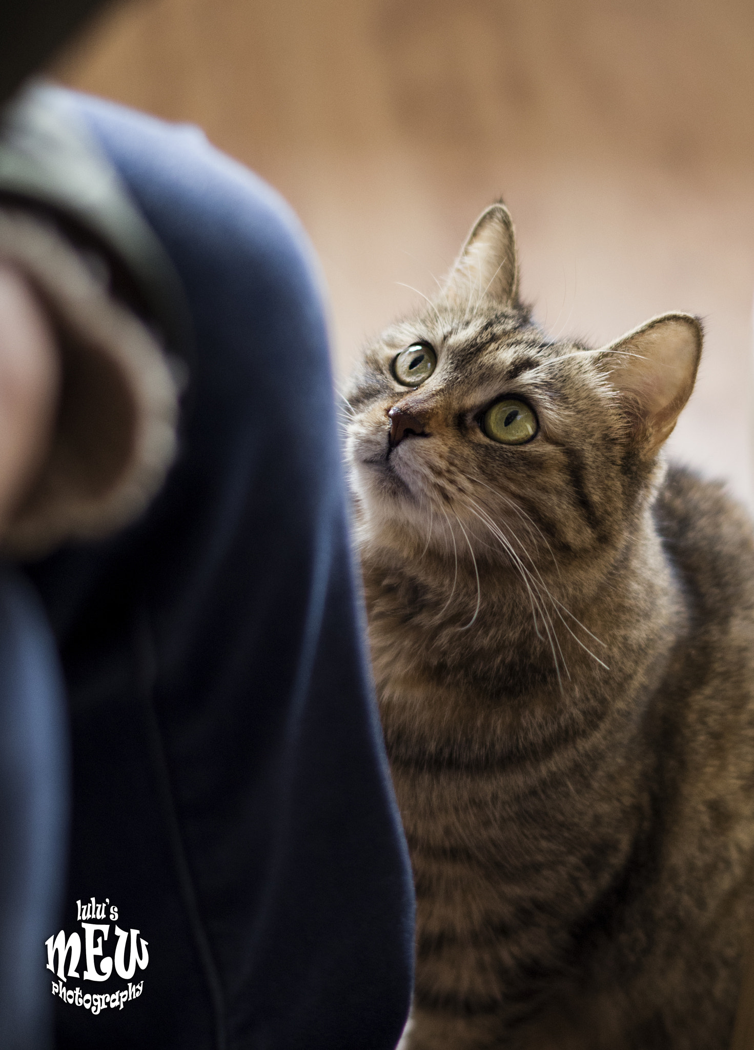 Pentax K-50 + Pentax smc DA 50mm F1.8 sample photo. Paopao&fofo photography