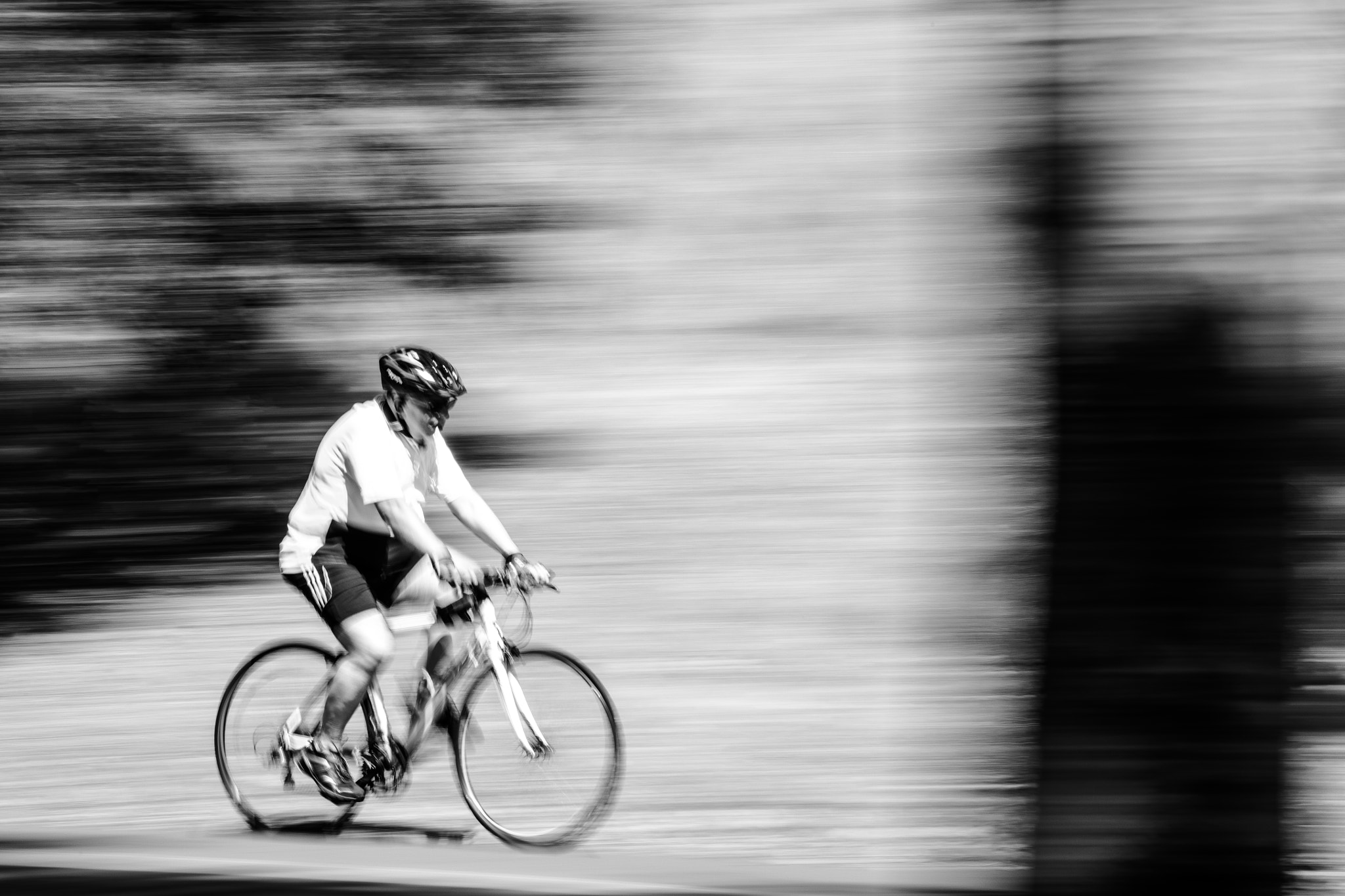 Canon EF 70-200mm F4L IS USM sample photo. Catch speed photography
