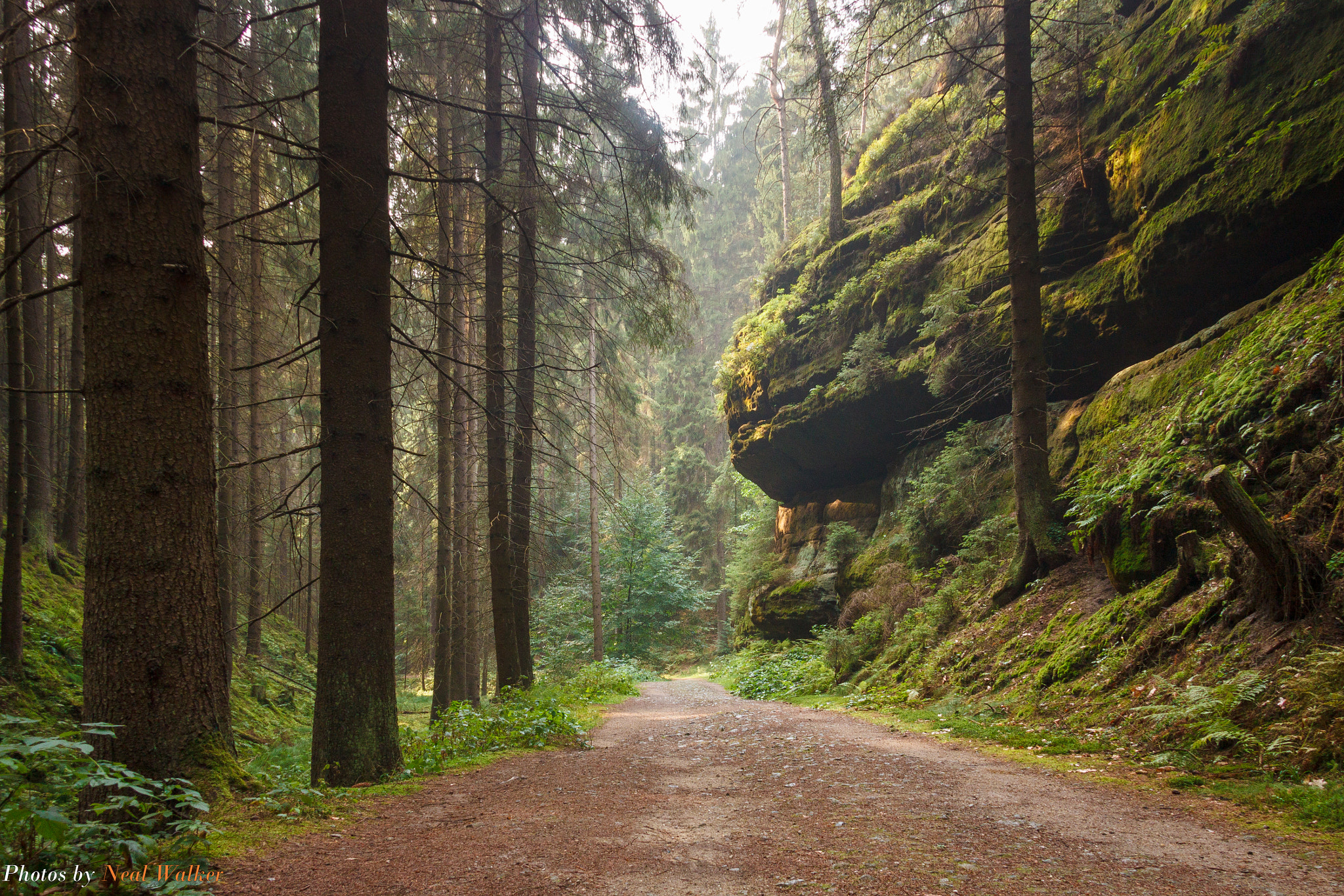 Canon EF-S 17-85mm F4-5.6 IS USM sample photo. Malerweg trail photography