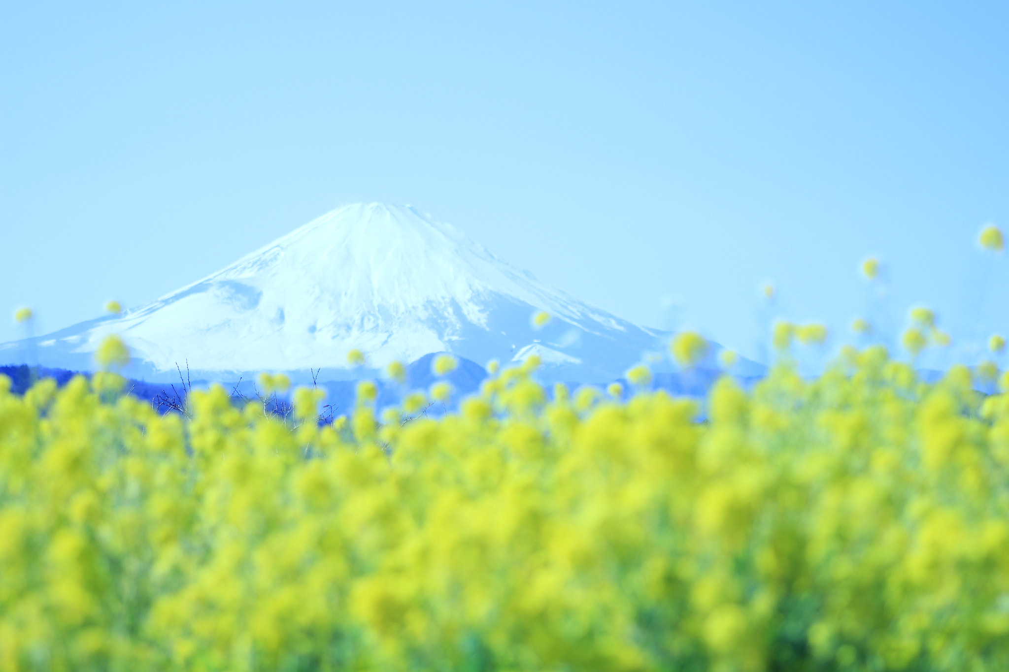 Canon EF 22-55mm f/4-5.6 USM sample photo. With mt fuji photography