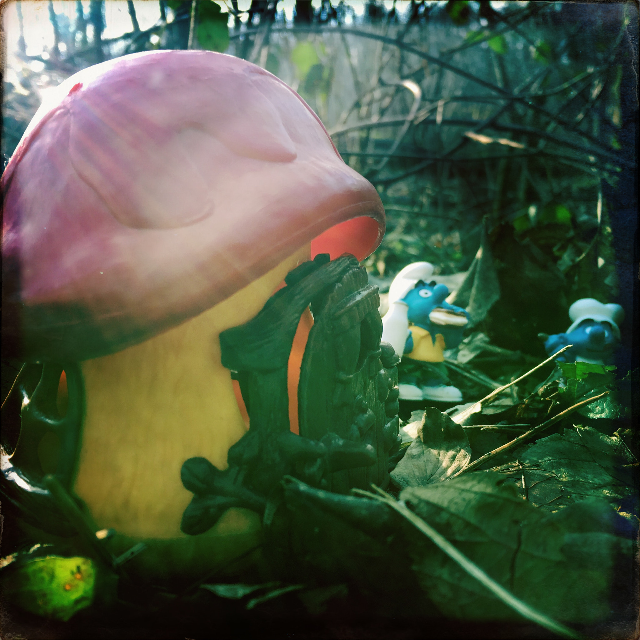 Hipstamatic 331 sample photo