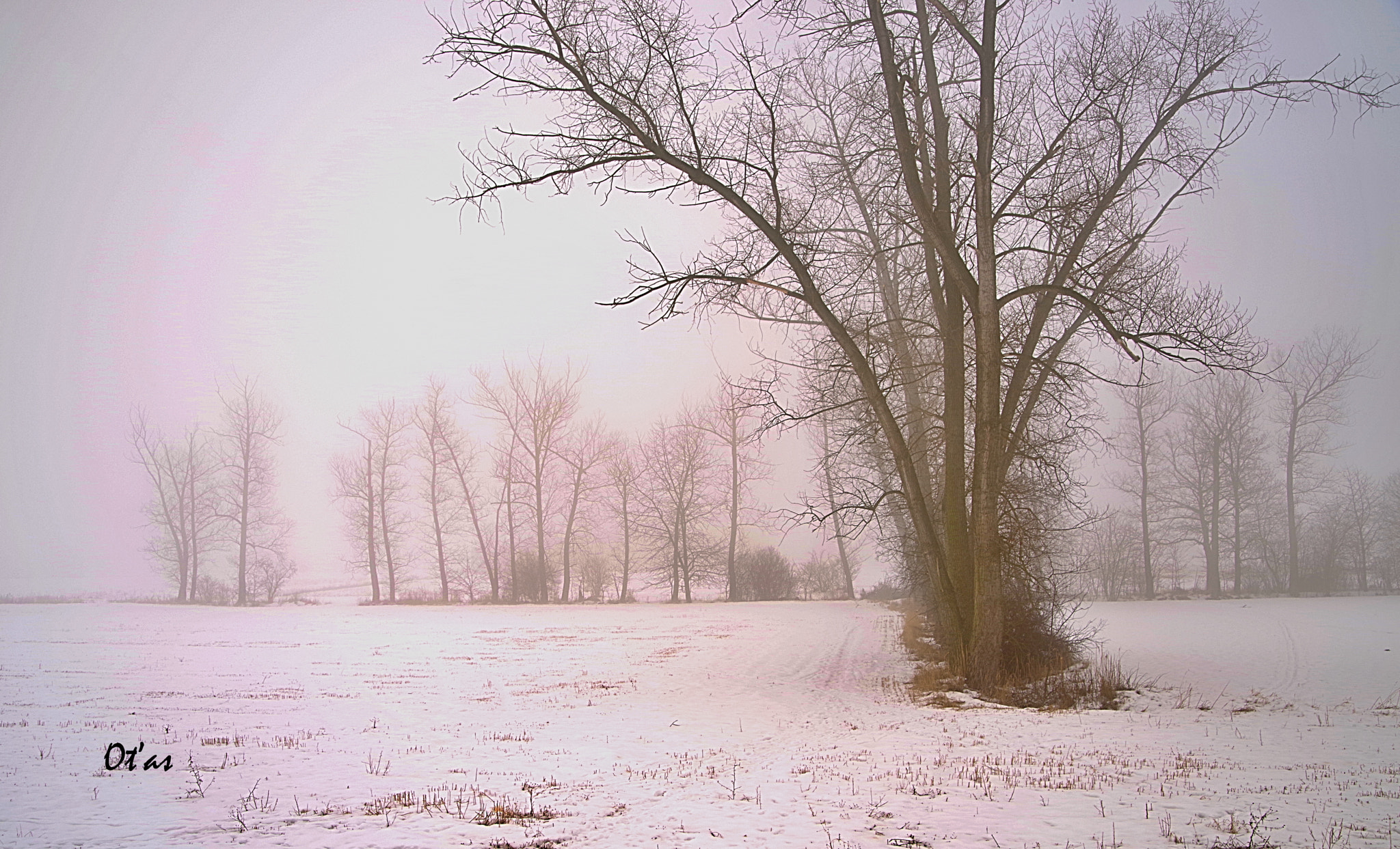 Pentax K-1 sample photo. Winter photography