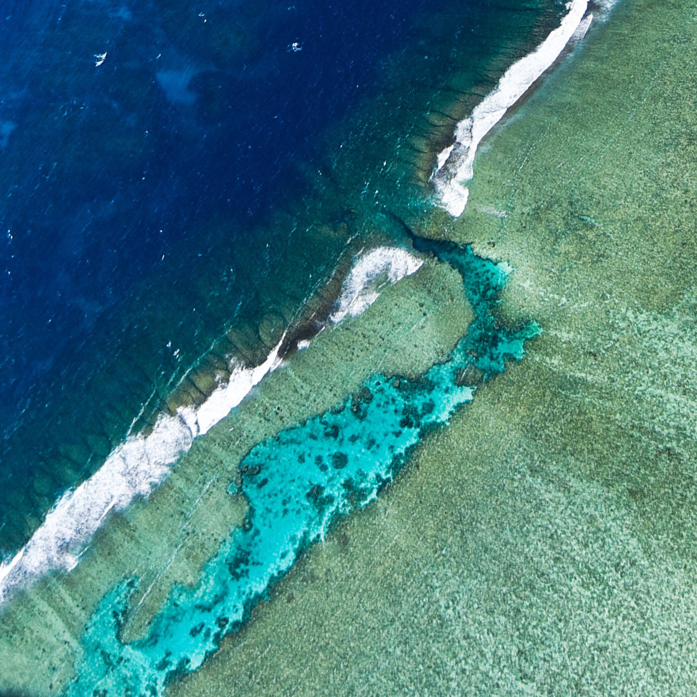 Tokina AT-X Pro 11-16mm F2.8 DX sample photo. Flying over ningaloo reef came with some mixed feelings. photography