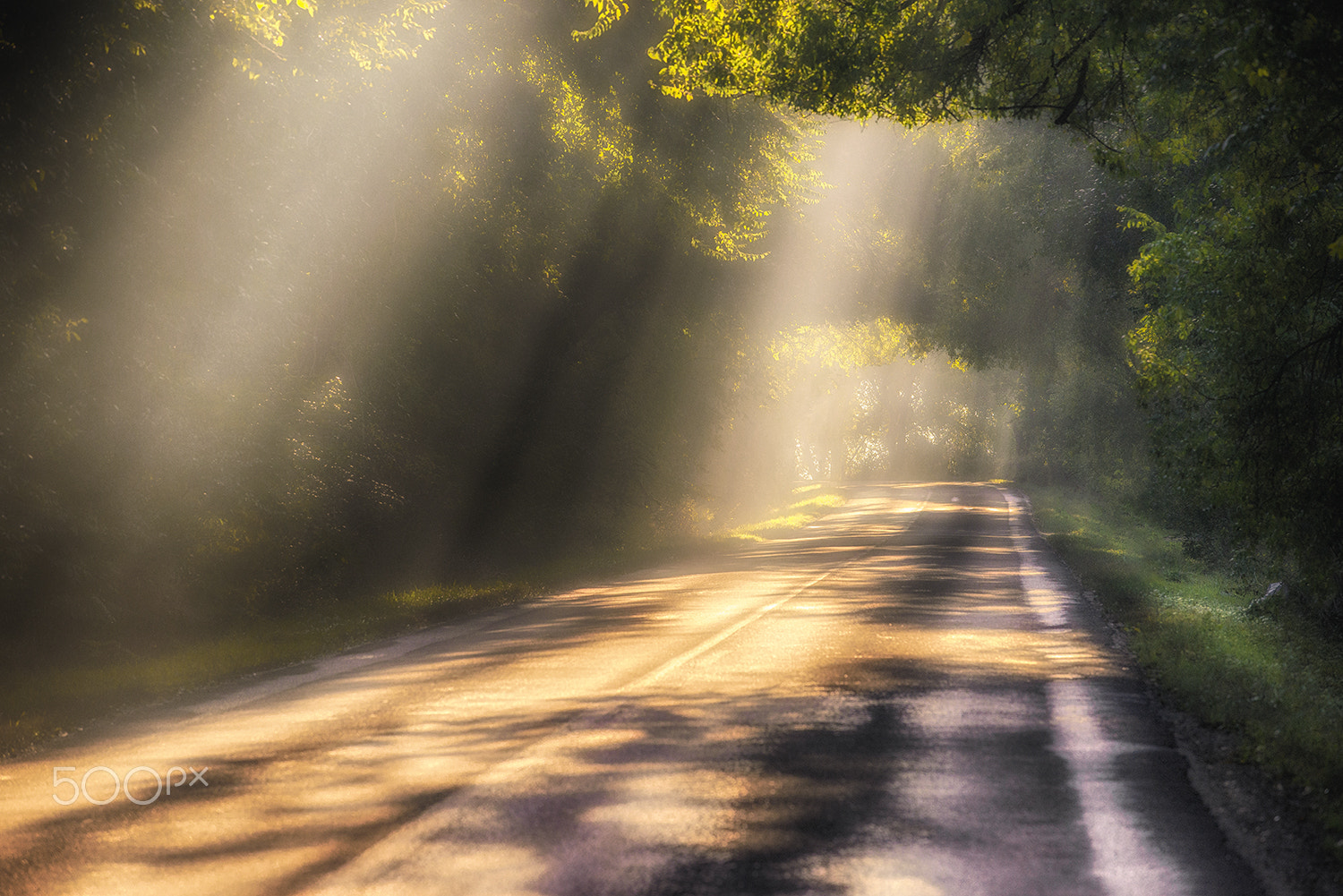 Nikon AF-S Nikkor 70-200mm F4G ED VR sample photo. Foggy road photography