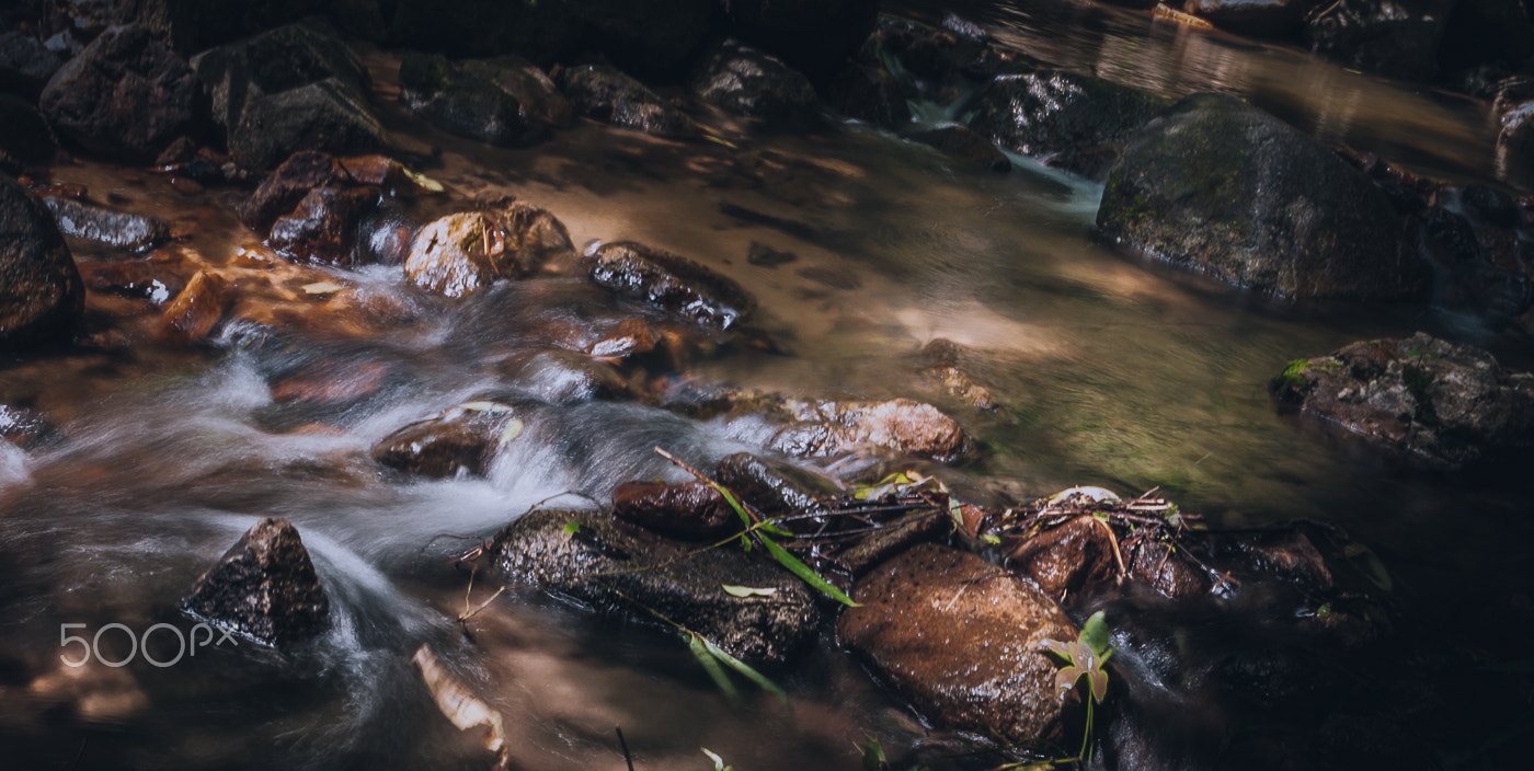 Nikon D40 sample photo. Flowing stream photography