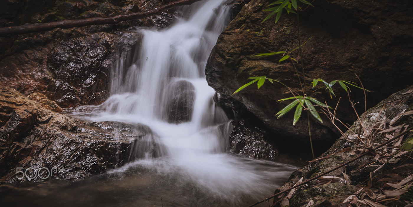 Nikon D40 sample photo. Falling with grace photography