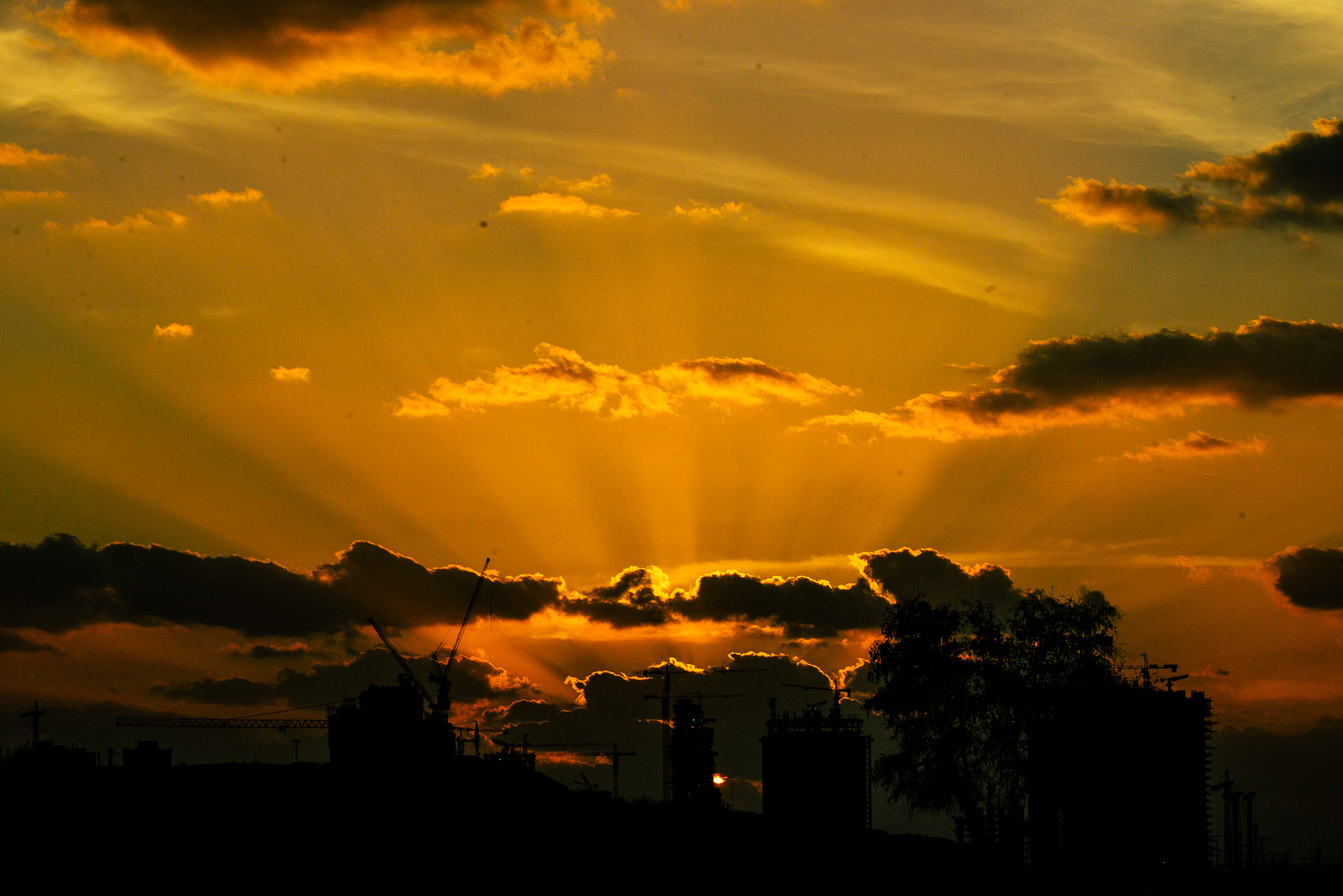 AF-S Zoom-Nikkor 80-200mm f/2.8D IF-ED sample photo. Nmf_2182-2.jpg photography