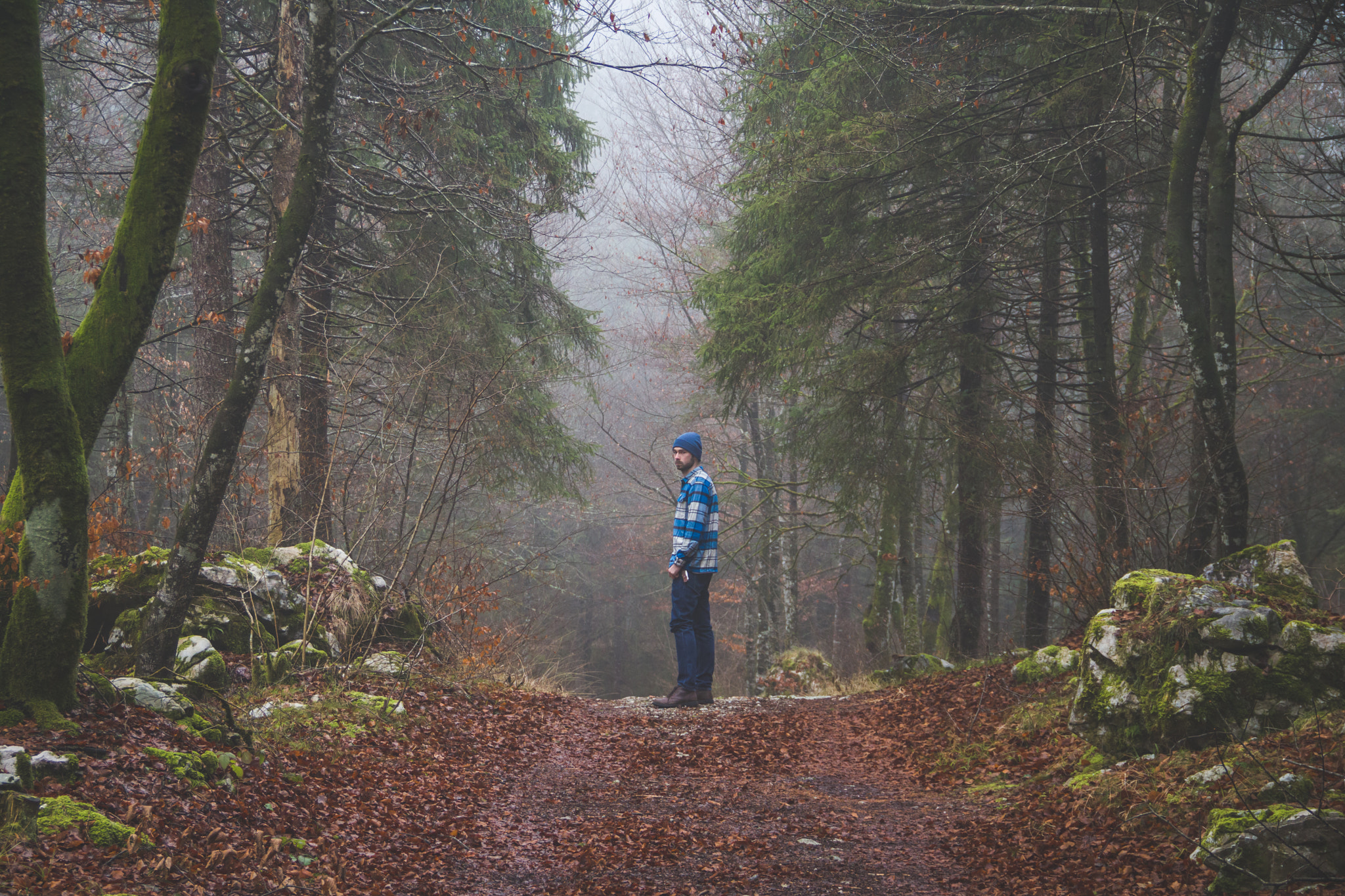Canon EOS 760D (EOS Rebel T6s / EOS 8000D) sample photo. Misty forest photography