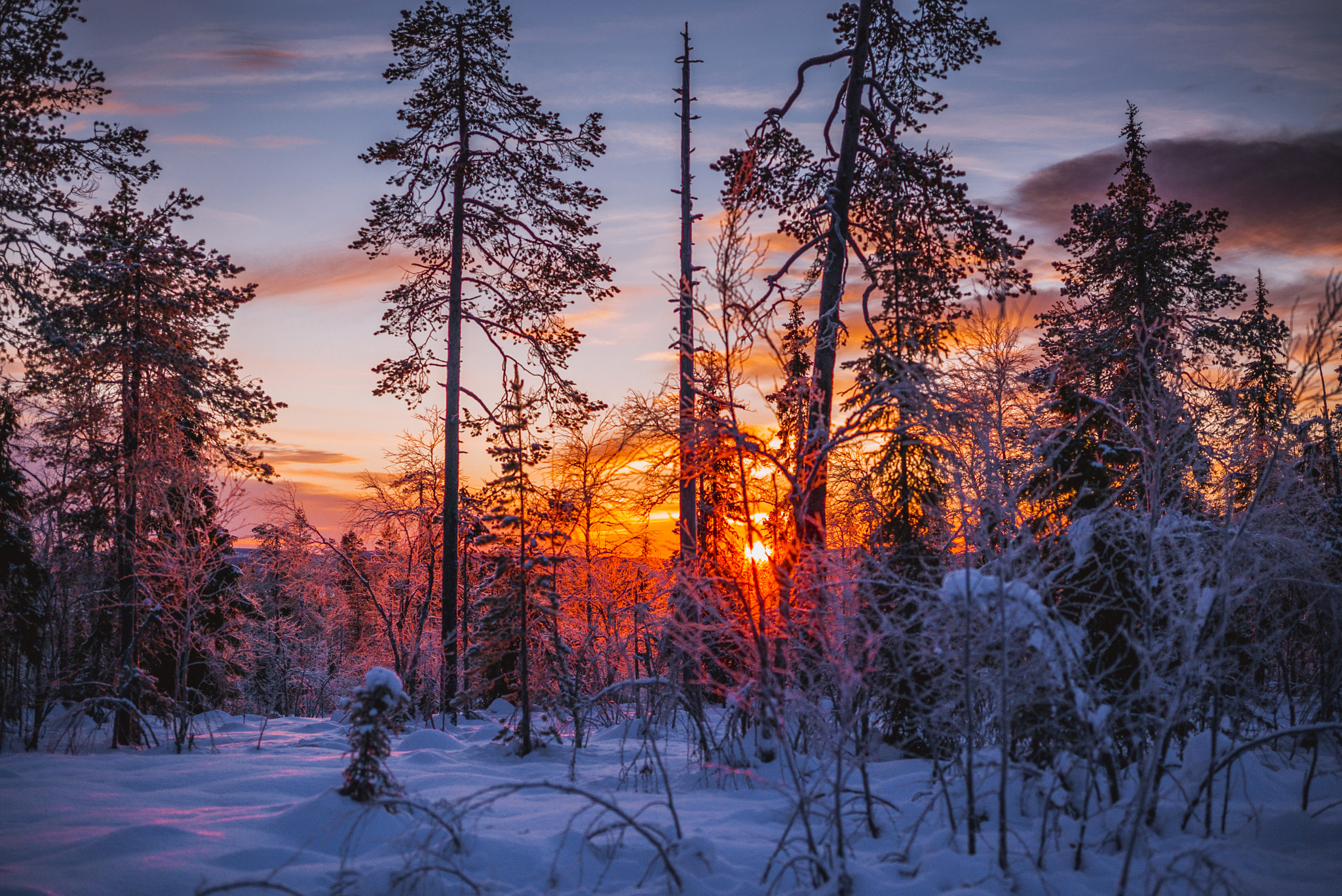 Leica APO-Summicron-M 50mm F2 ASPH sample photo. Noon in the arctic circle photography