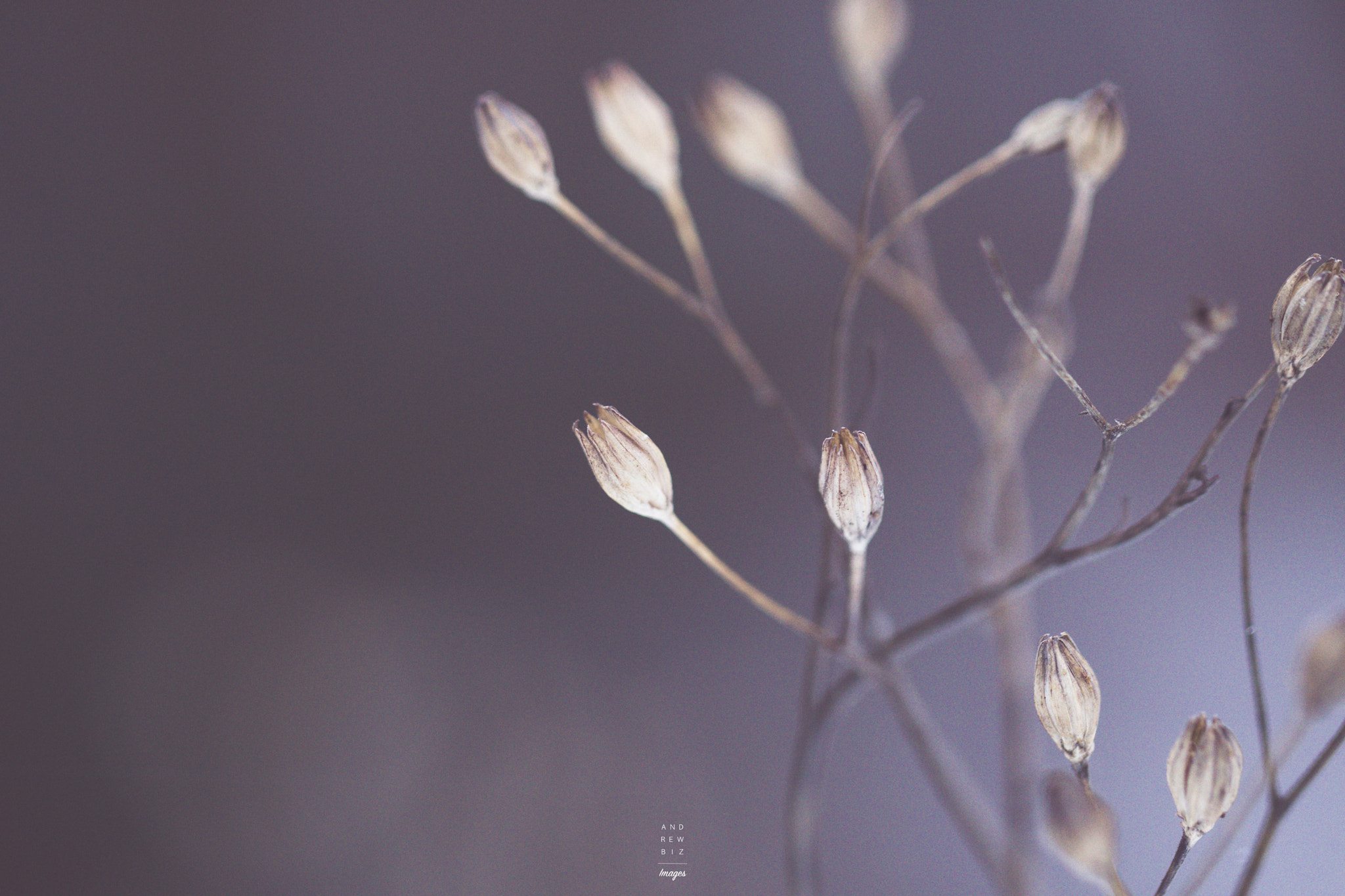 Tamron 18-270mm F3.5-6.3 Di II PZD sample photo. Hidden beautys photography