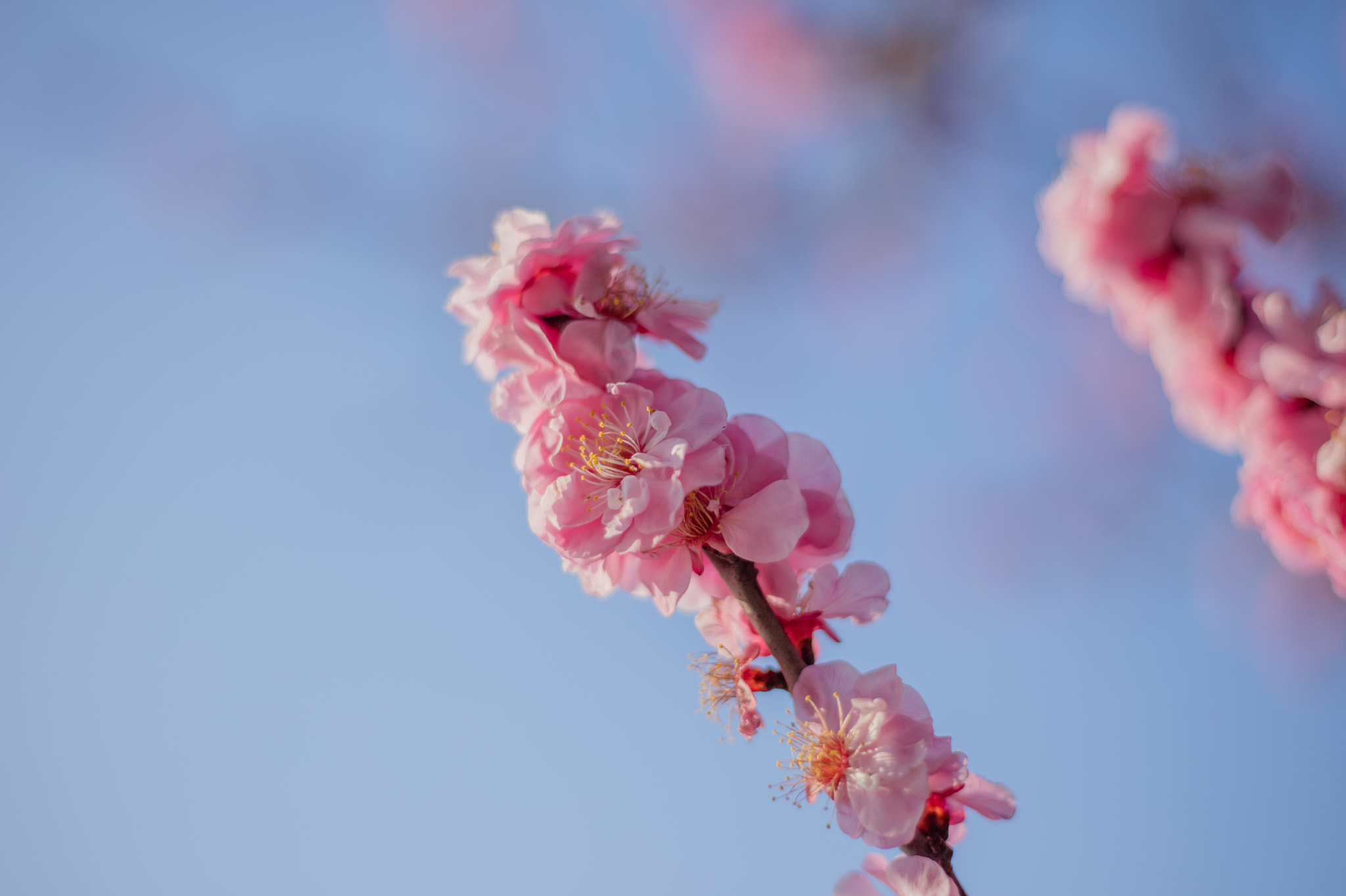 Canon EOS 5DS R sample photo. 9l0a7399-1.jpg photography