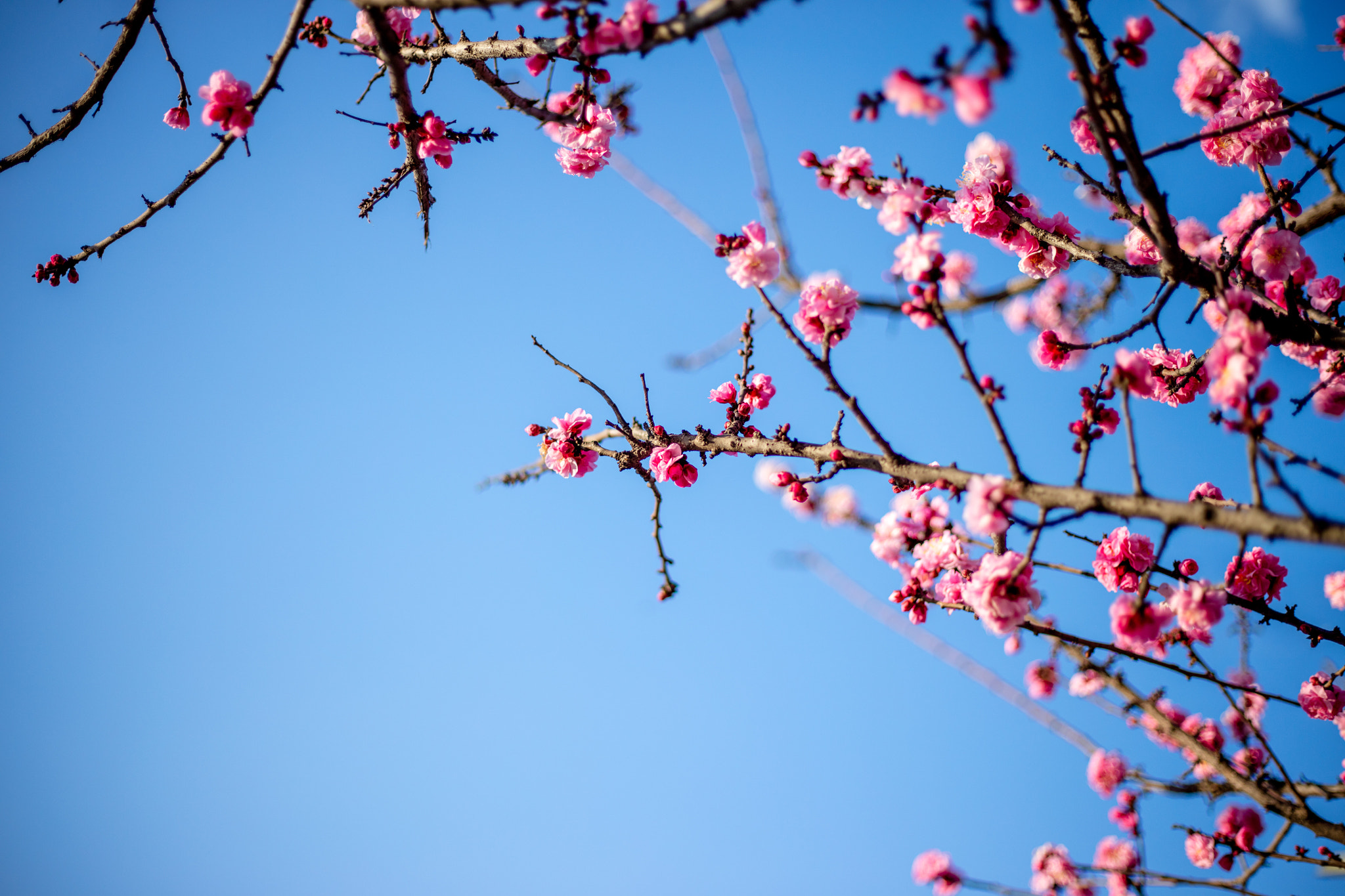 Canon EOS 5DS R sample photo. 9l0a7400-1.jpg photography