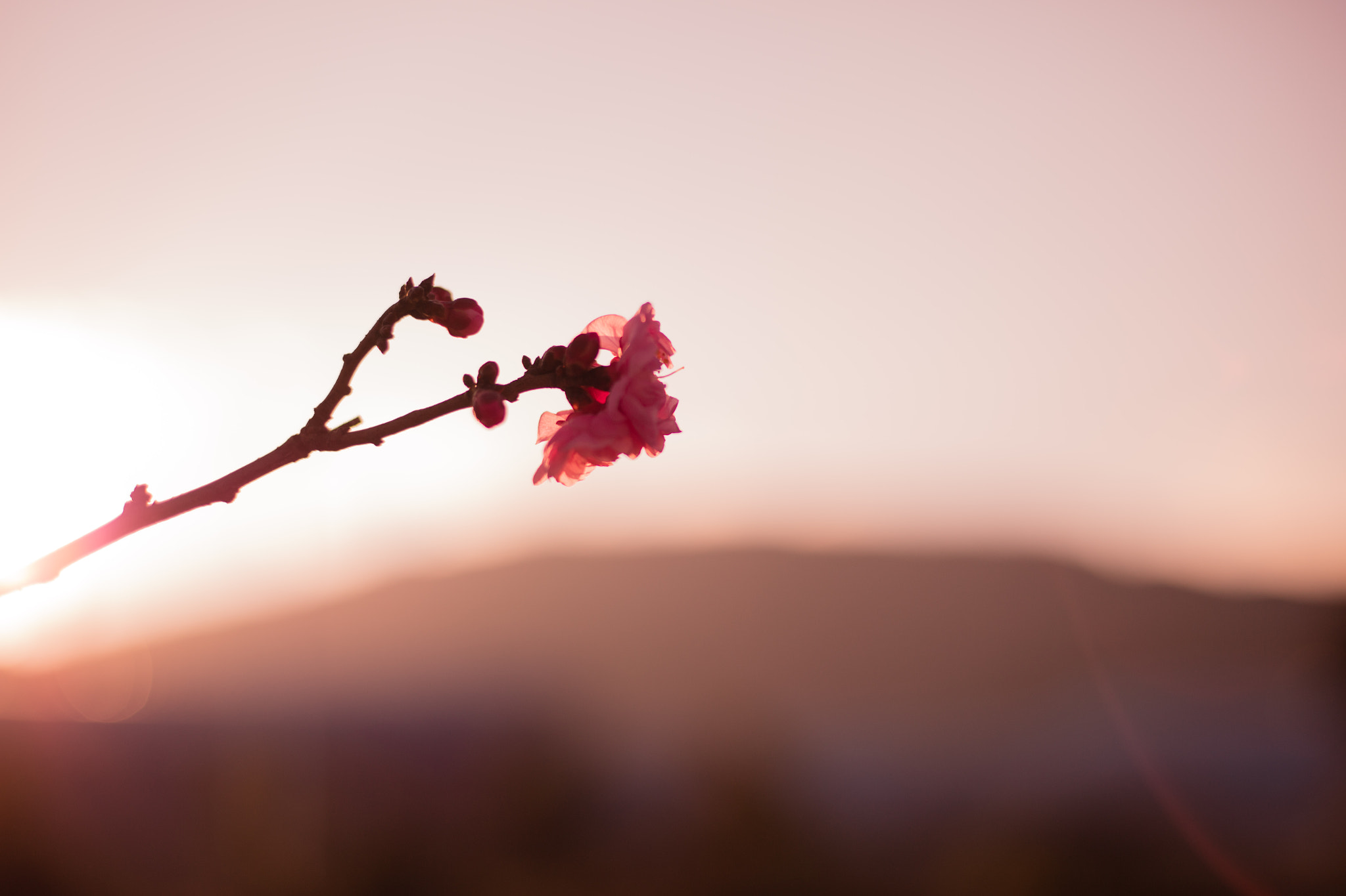 Canon EOS 5DS R sample photo. 9l0a7410-1.jpg photography