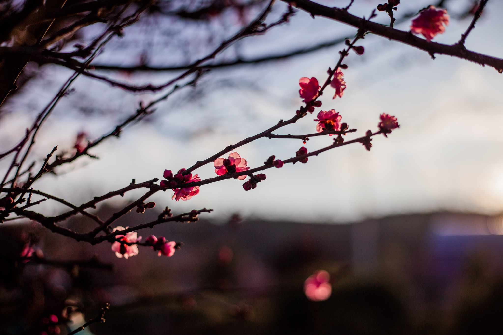 Canon EOS 5DS R sample photo. 9l0a7415-1.jpg photography