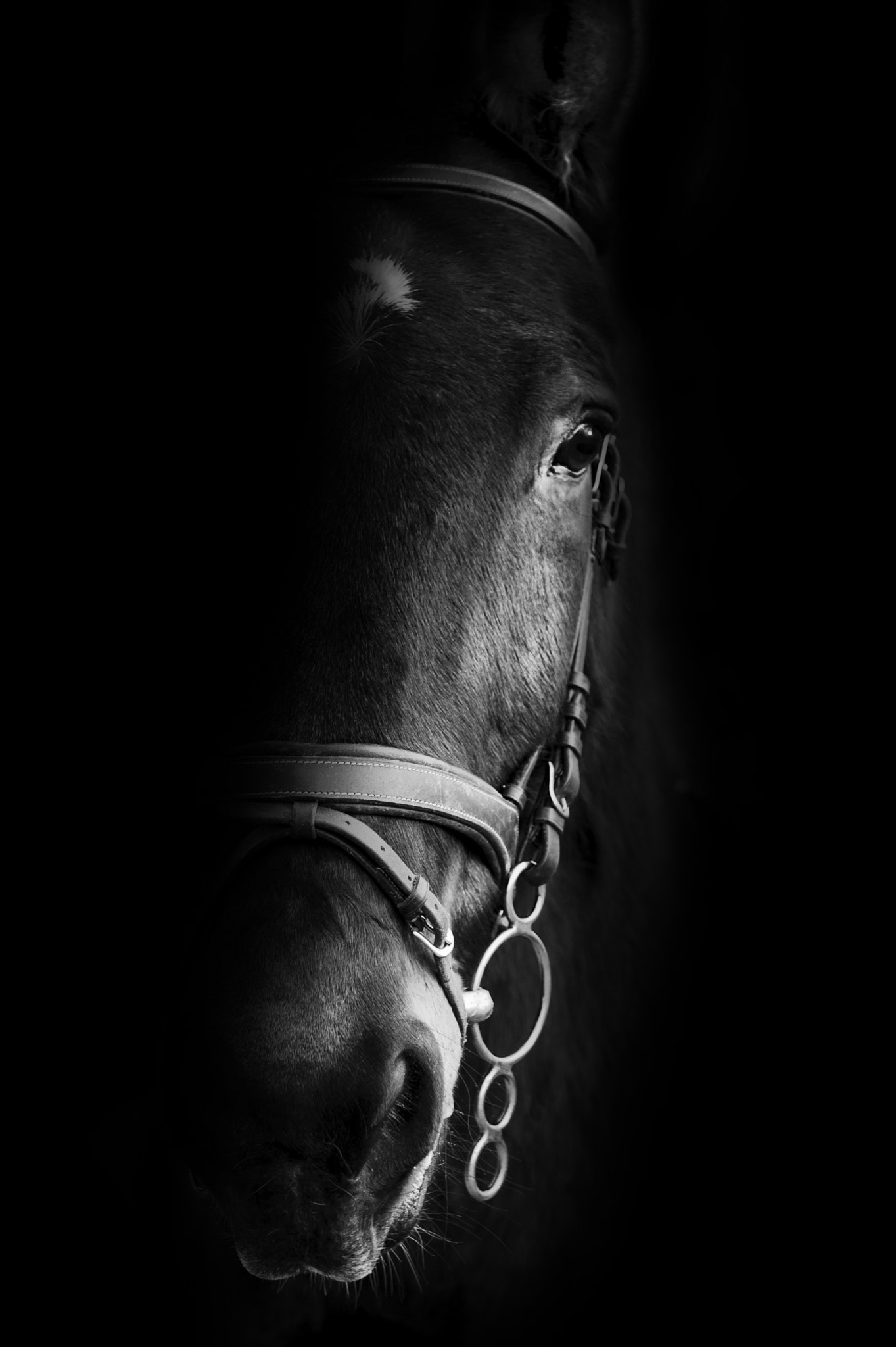Nikon D3 sample photo. One mans faith photography