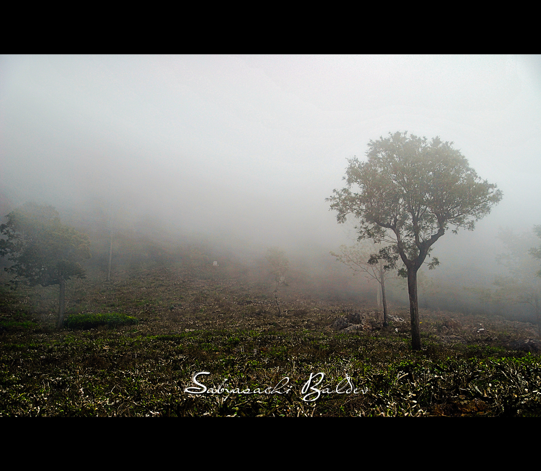 Nikon D3000 sample photo. Mist photography