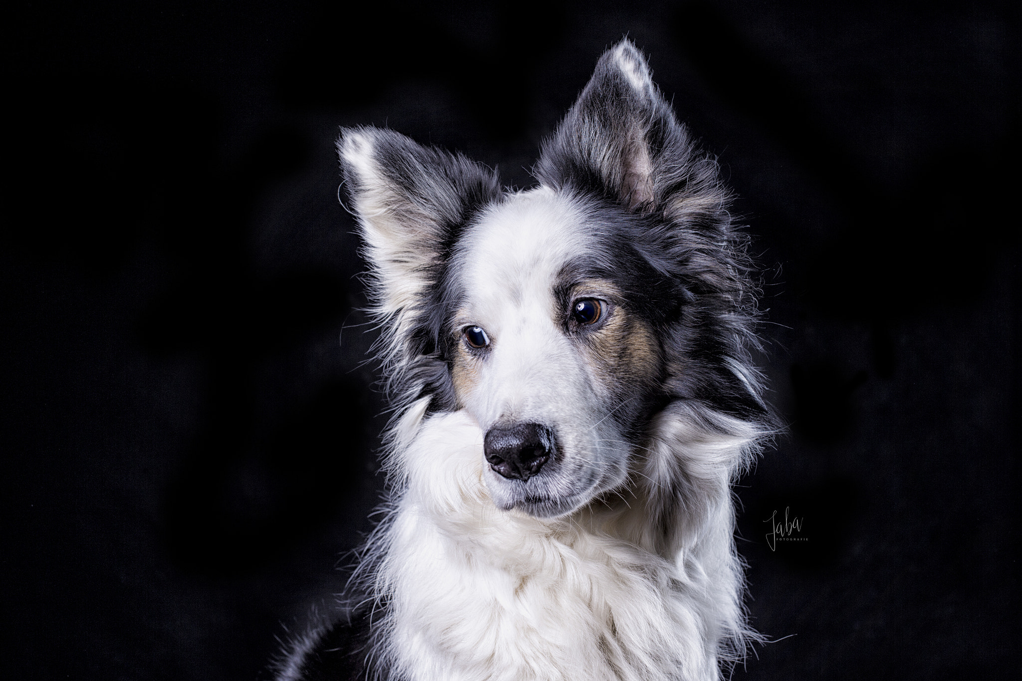 Canon EOS-1D X sample photo. A border photography