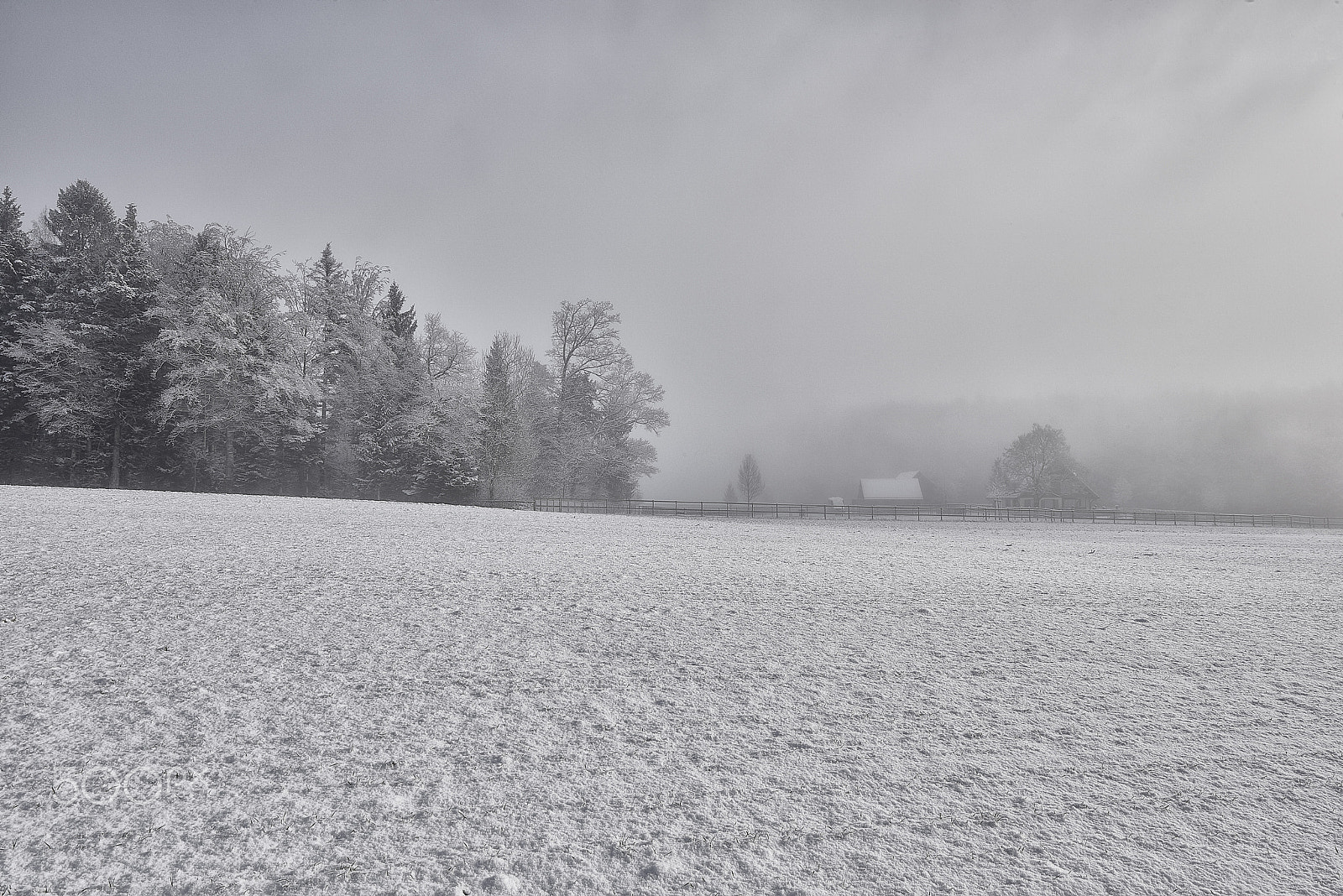 Nikon D810 sample photo. Wintermorgen photography