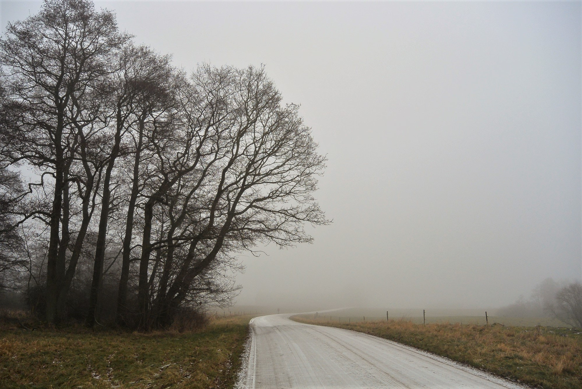 Nikon 1 Nikkor 11-27.5mm F3.5-5.6 sample photo. The road goes ever on and on... photography