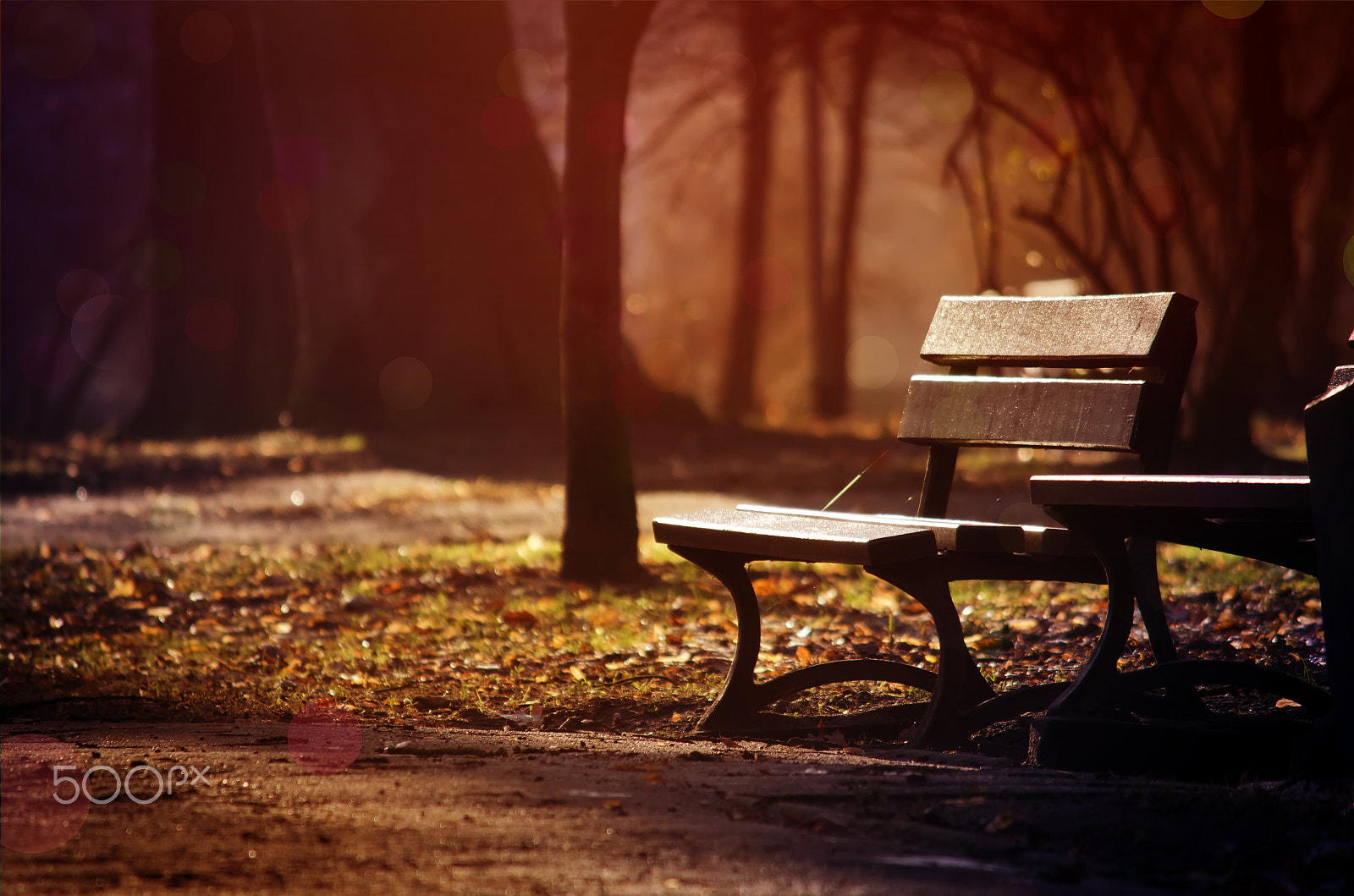 Nikon D5100 + Nikon AF-S DX Micro Nikkor 40mm F2.8 sample photo. Lonely bench in the evening park photography