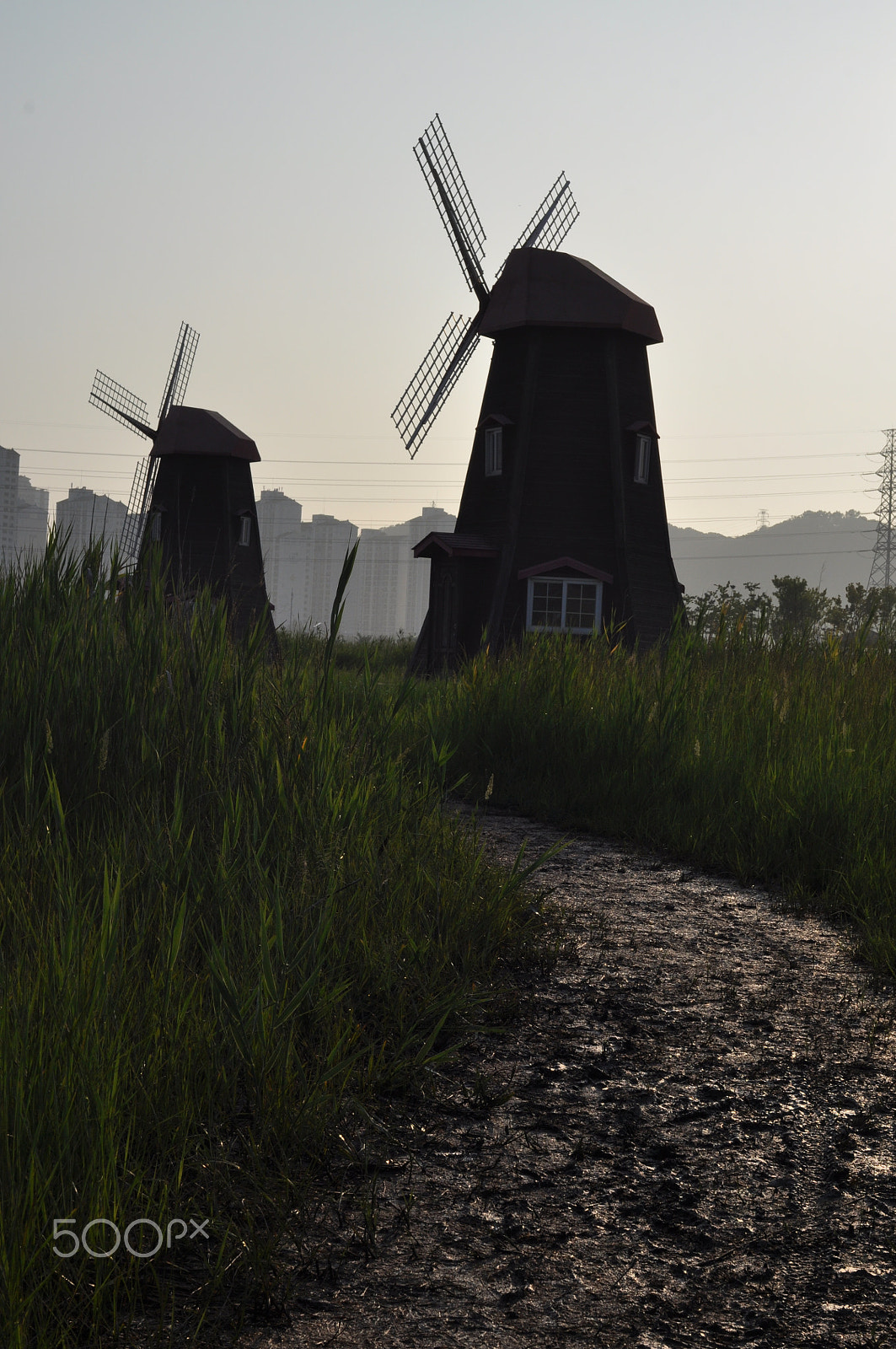 Voigtlander Ultron 40mm F2 SLII Aspherical sample photo. Road to windmill photography