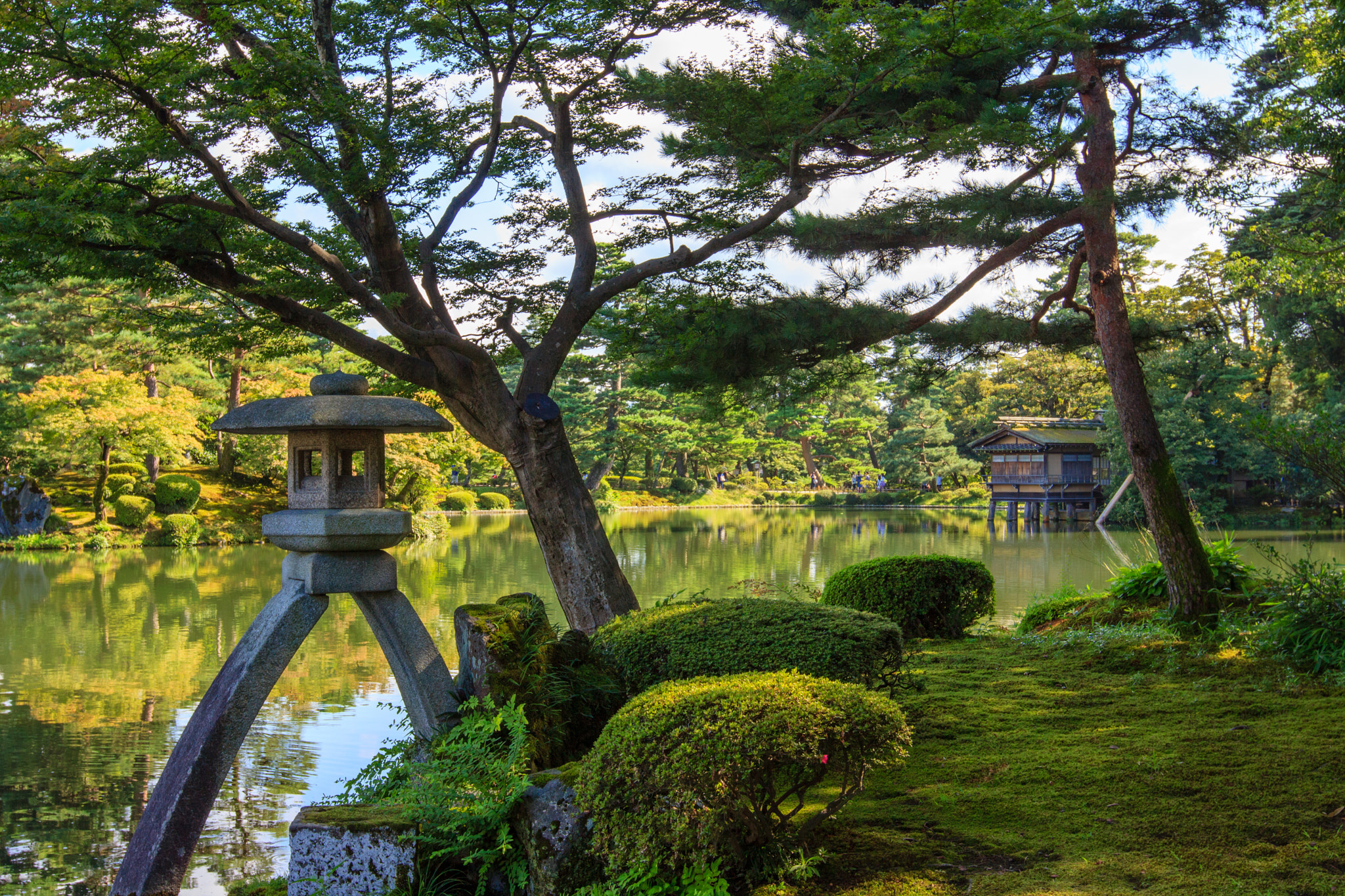 Canon EF 16-35mm F2.8L II USM sample photo. Zen photography