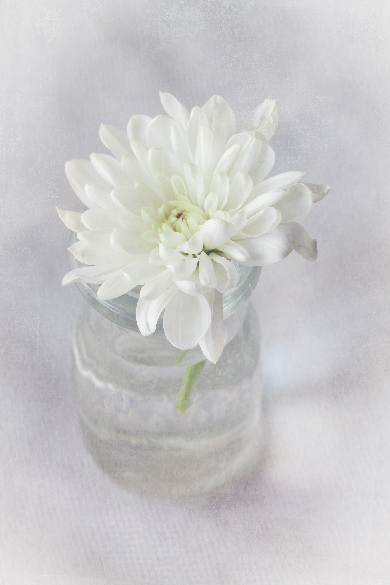 Canon EF 35-80mm f/4-5.6 sample photo. En blanco photography
