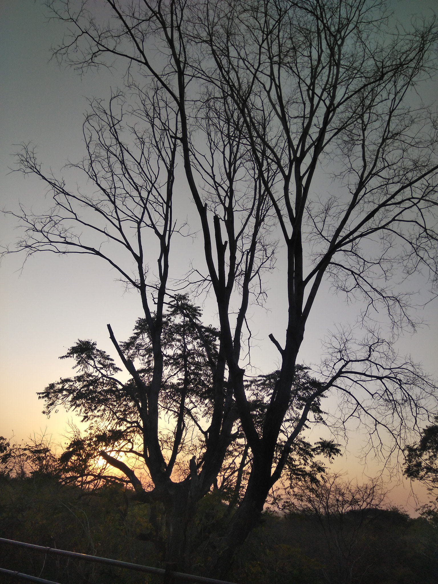 LeMobile Le X526 sample photo