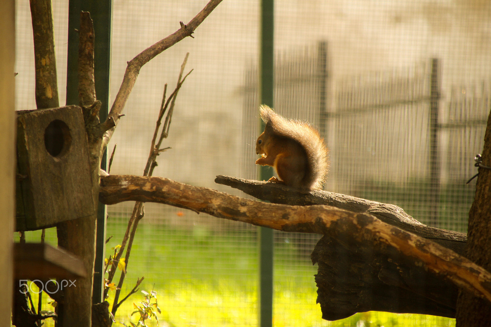 Canon EOS 700D (EOS Rebel T5i / EOS Kiss X7i) + Canon TS-E 90mm F2.8 Tilt-Shift sample photo. Img photography