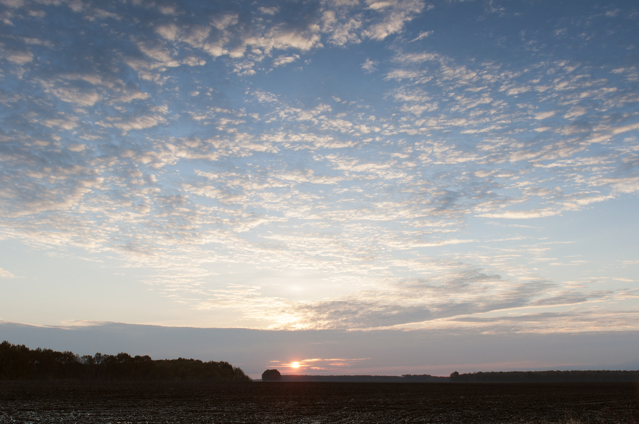 Nikon AF-S Nikkor 24-70mm F2.8G ED sample photo. Morning light photography