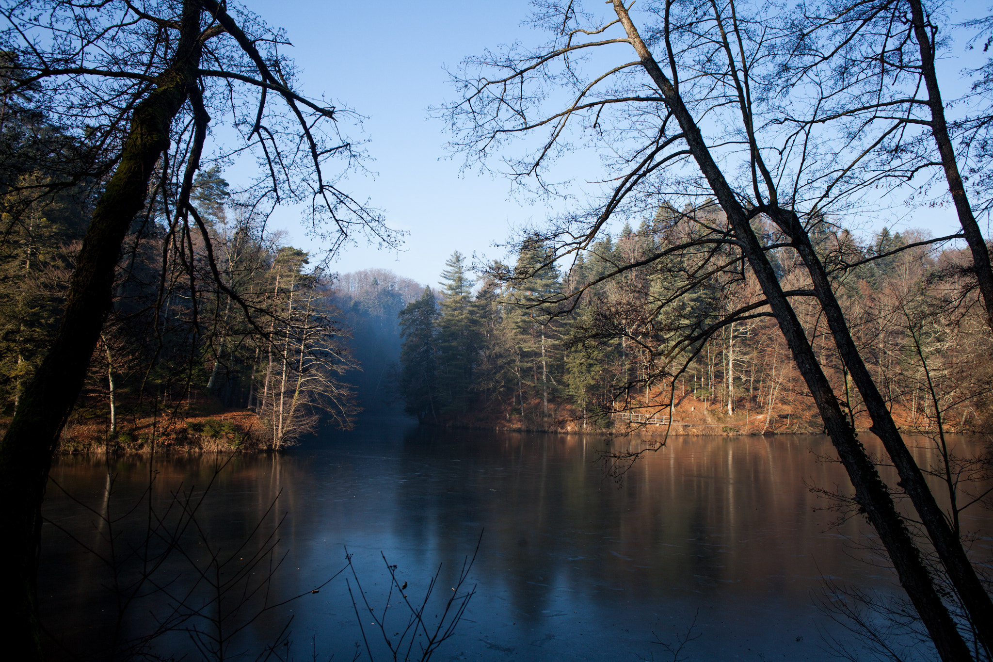 Canon EOS 5D Mark II + Canon EF 24mm F2.8 IS USM sample photo. Sneeking up from the shade photography