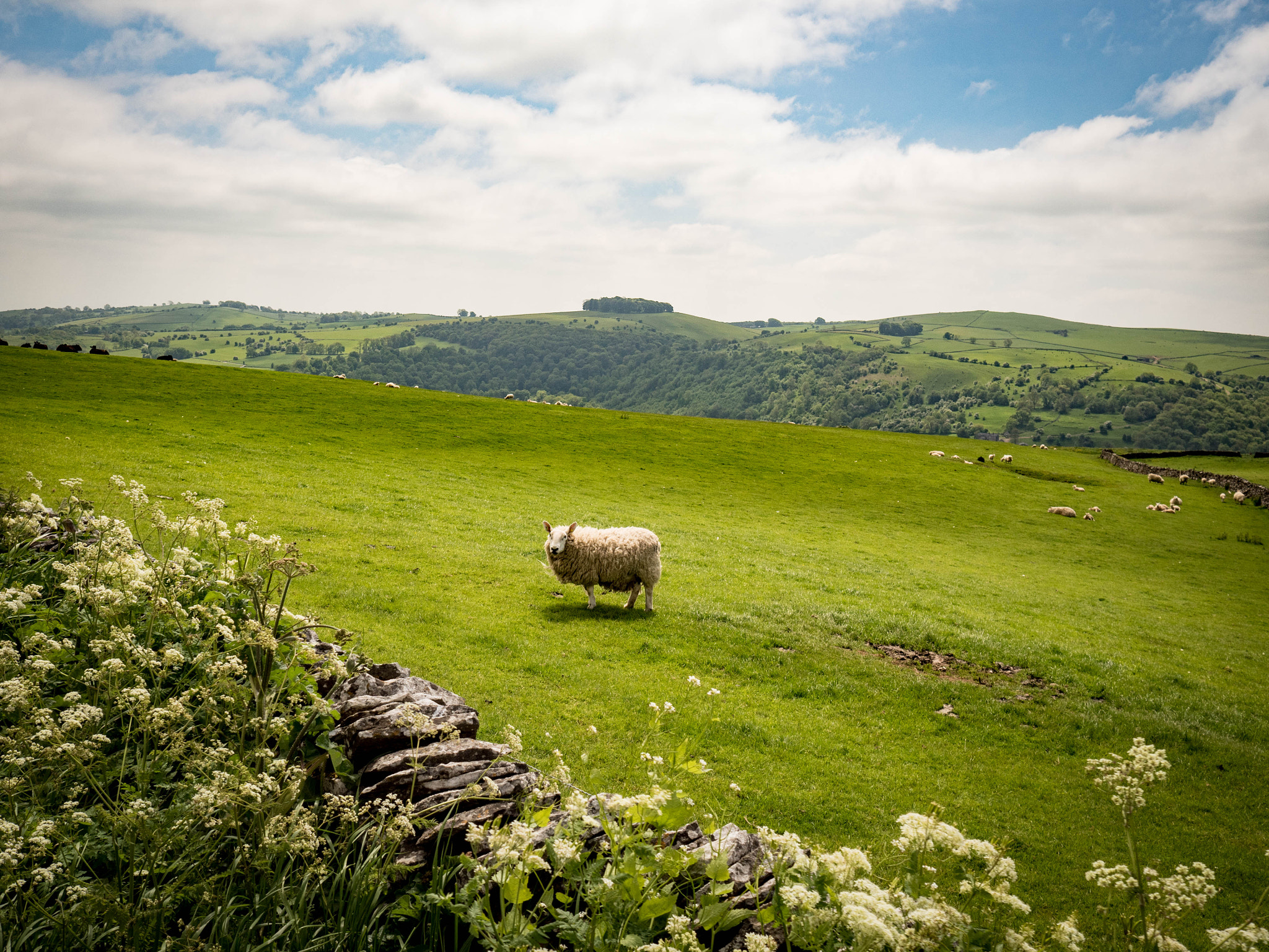 Olympus OM-D E-M5 II + Olympus M.Zuiko Digital 17mm F1.8 sample photo. Hope, darbyshire photography