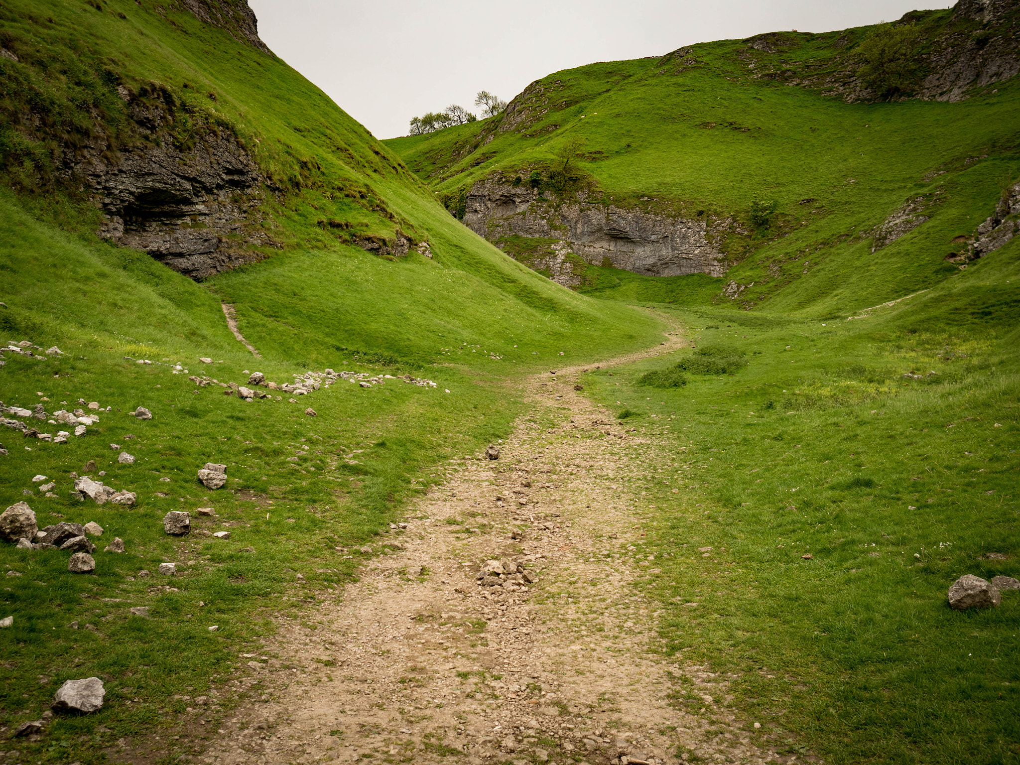 Olympus OM-D E-M5 II + Olympus M.Zuiko Digital 17mm F1.8 sample photo. Valley path photography