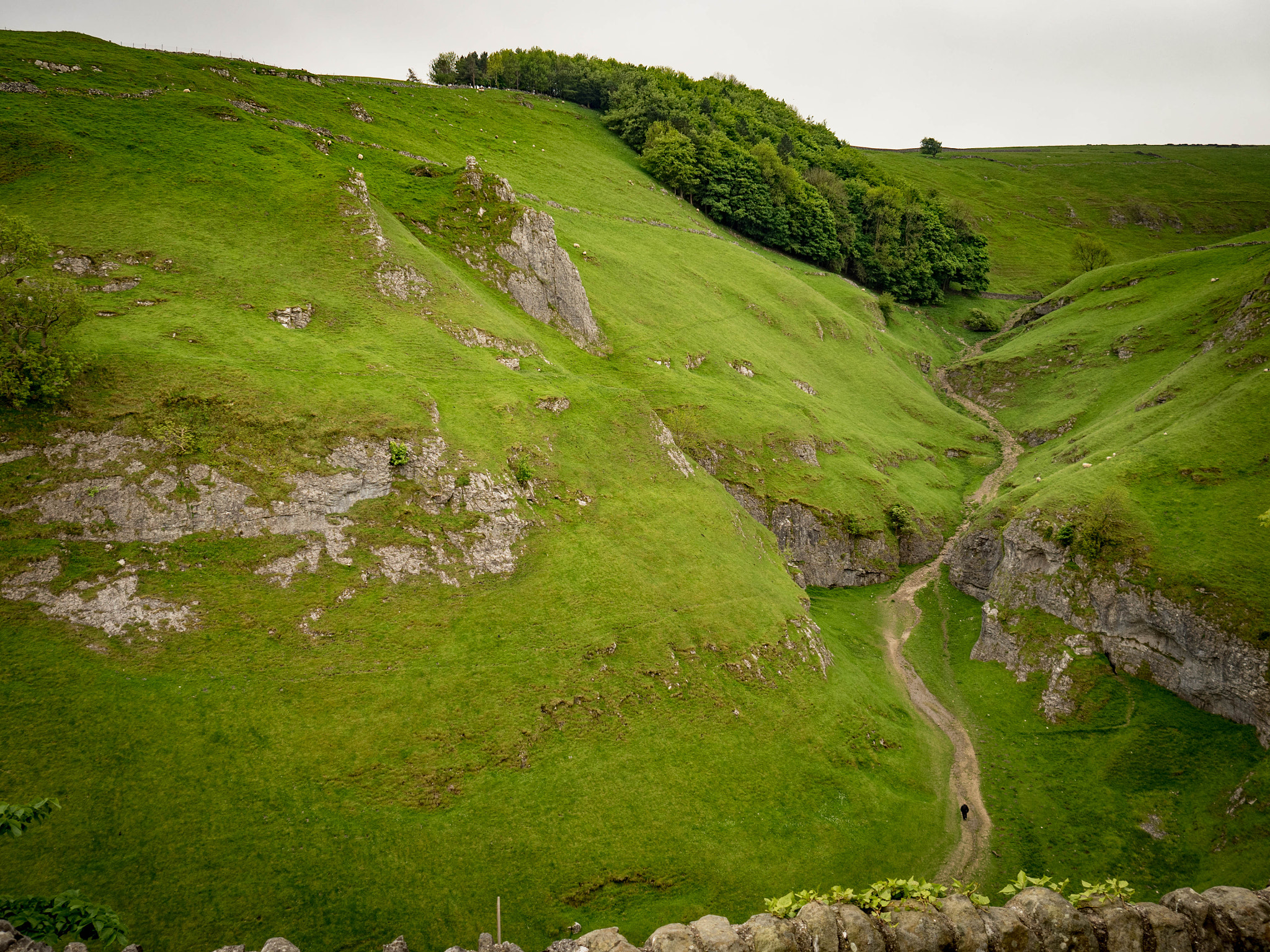 Olympus OM-D E-M5 II + Olympus M.Zuiko Digital 17mm F1.8 sample photo. Valley path from above photography