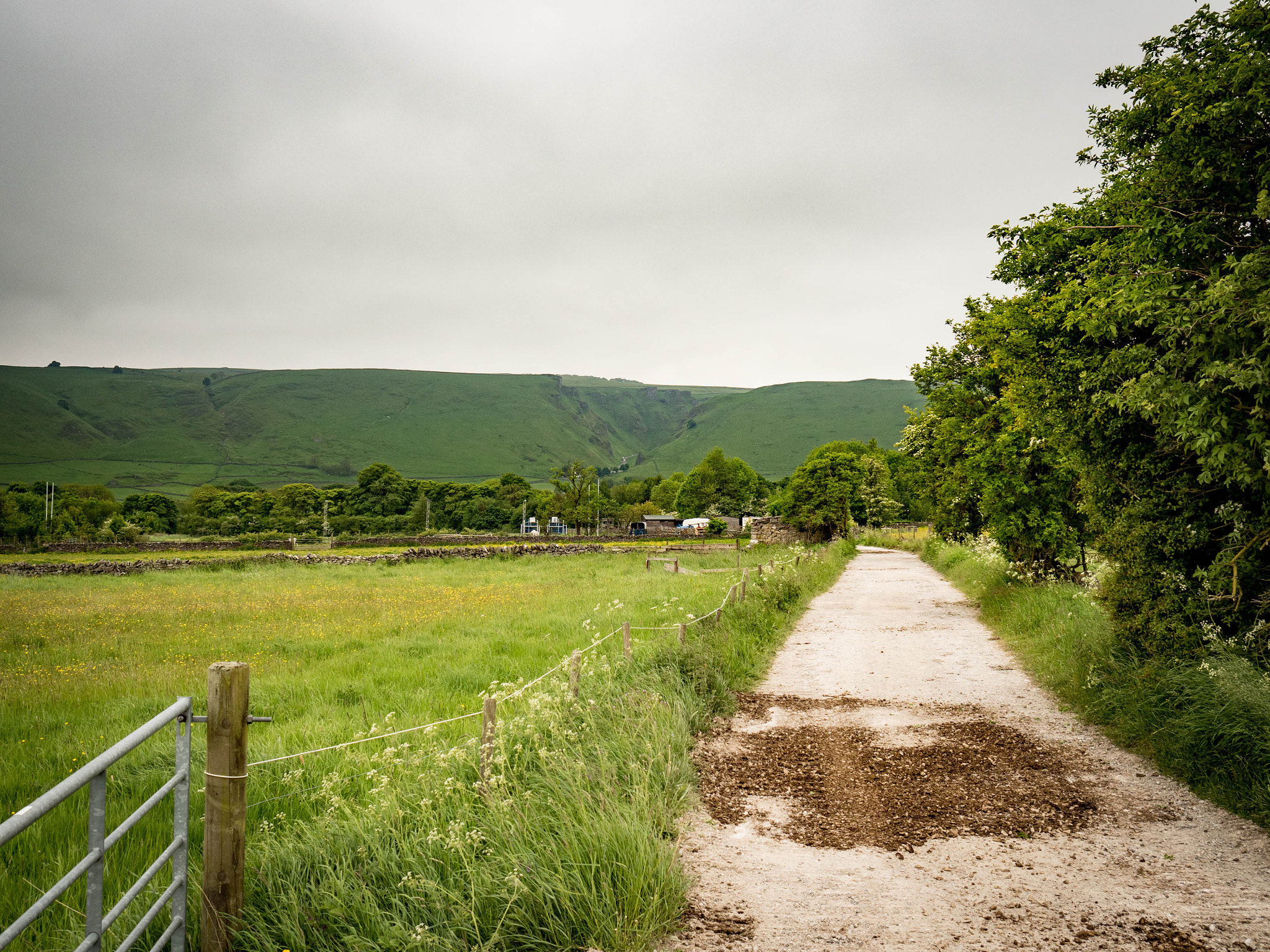 Olympus OM-D E-M5 II + Olympus M.Zuiko Digital 17mm F1.8 sample photo. Dirt road photography