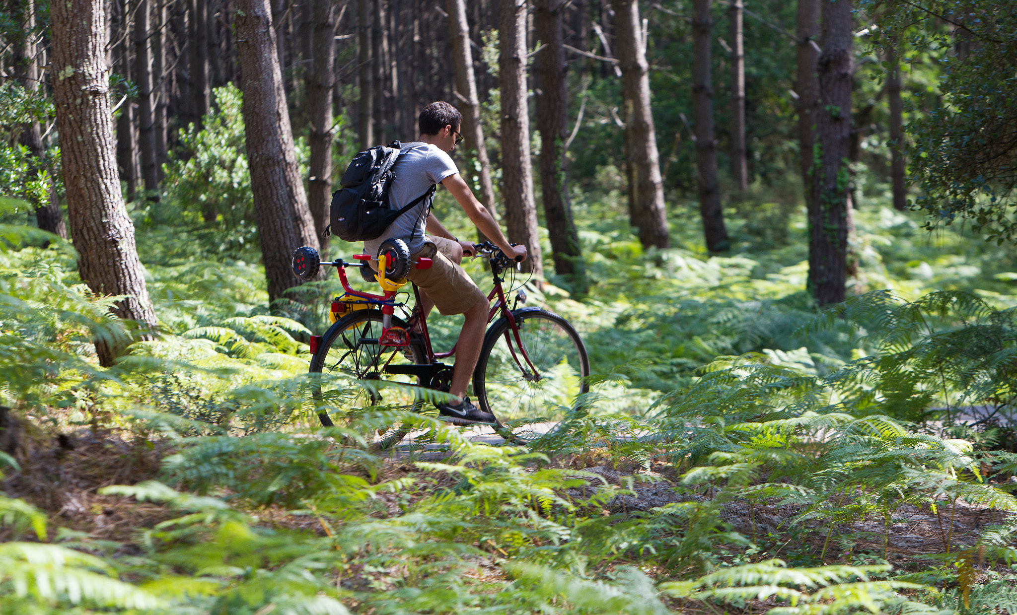 Canon EOS-1D Mark IV sample photo. Cycling in the landes, france photography