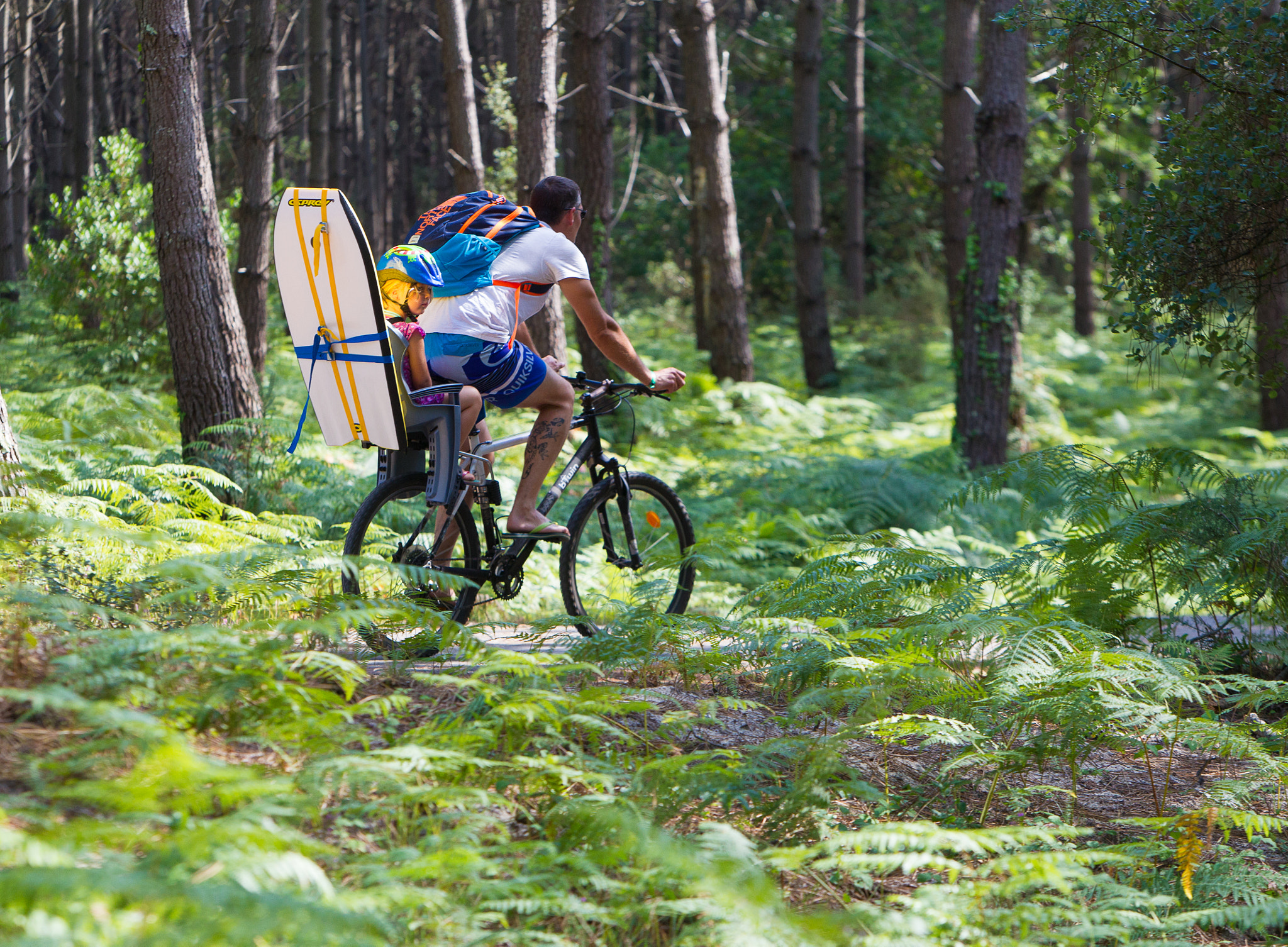 Canon EOS-1D Mark IV sample photo. Cycling in the landes, france photography