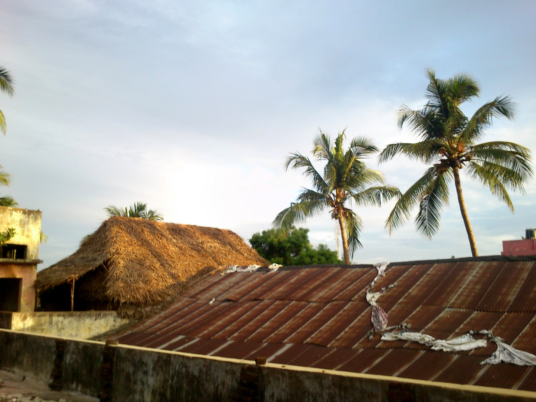 Sony Ericsson Xperia mini sample photo. Colony photography