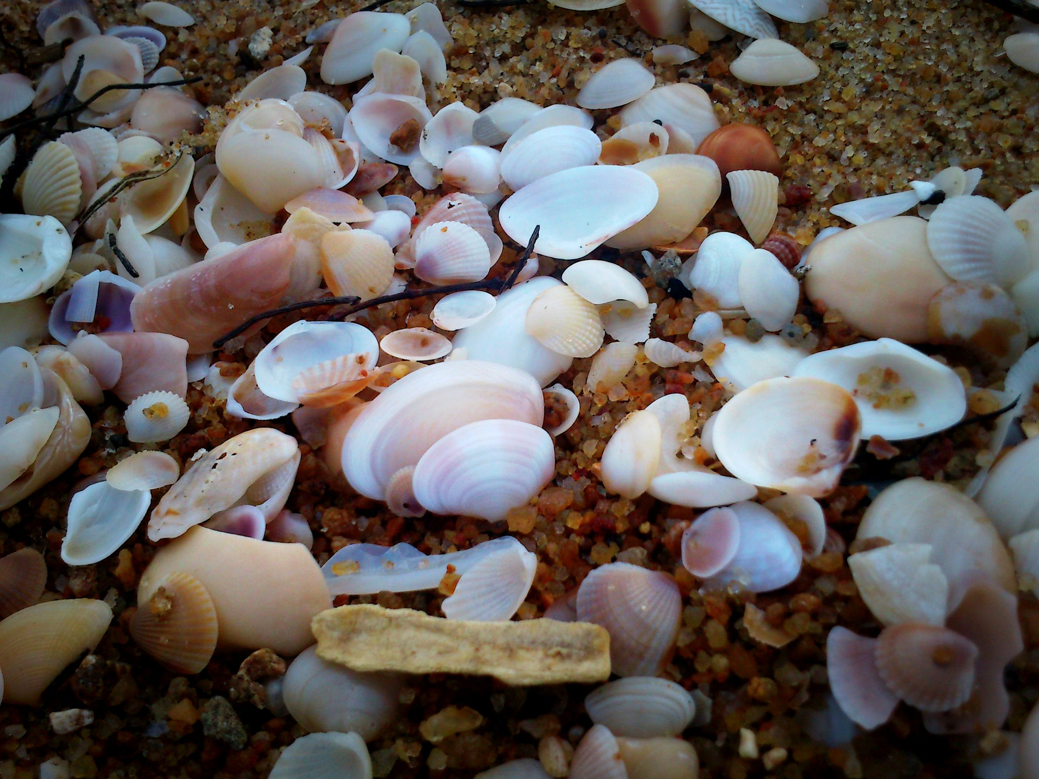 Sony Ericsson Xperia mini sample photo. Dsc photography