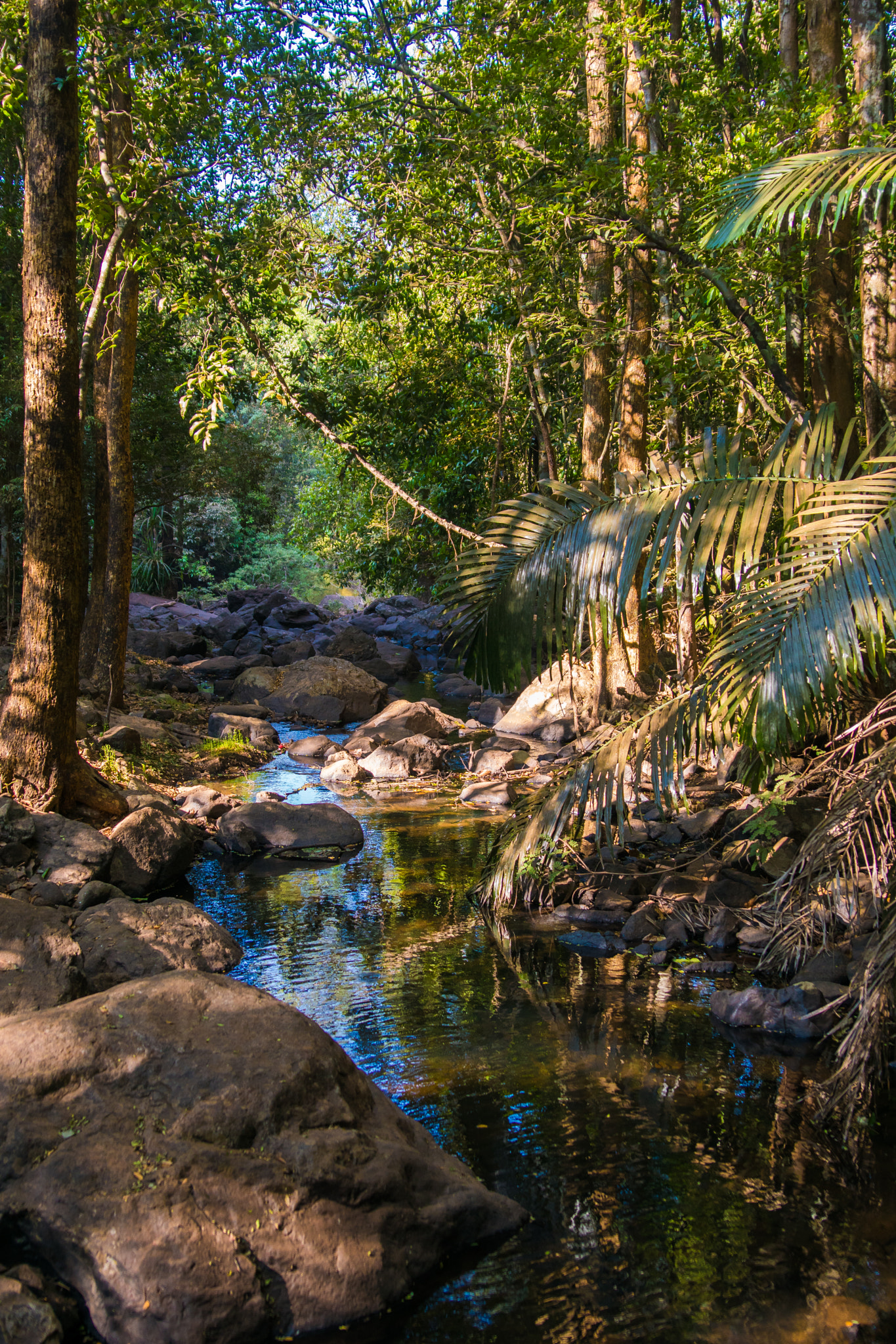 Sony ILCA-77M2 + Tamron SP 24-70mm F2.8 Di VC USD sample photo. Park in india, goa photography