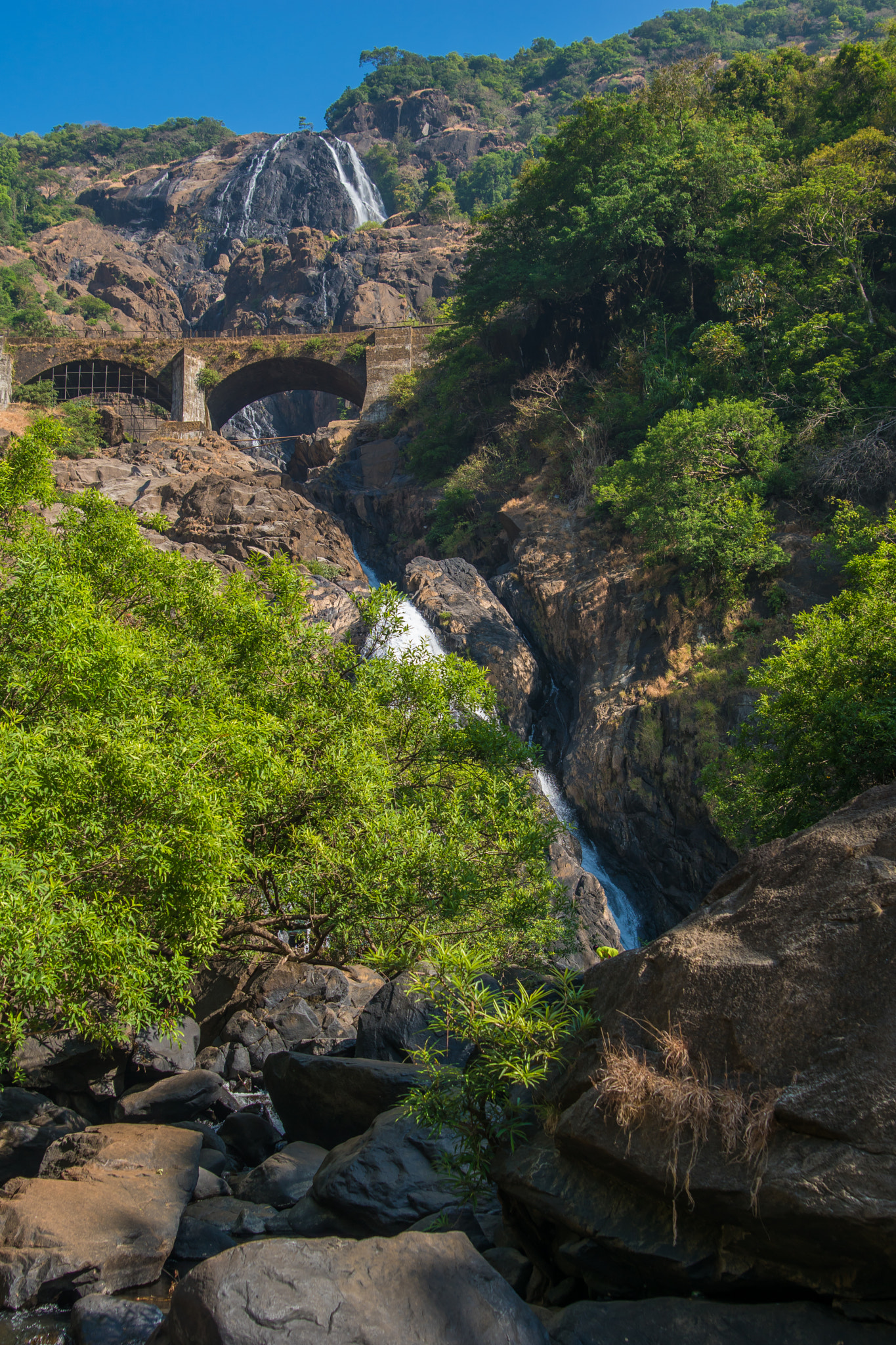 Sony ILCA-77M2 + Tamron SP 24-70mm F2.8 Di VC USD sample photo. Park in india photography