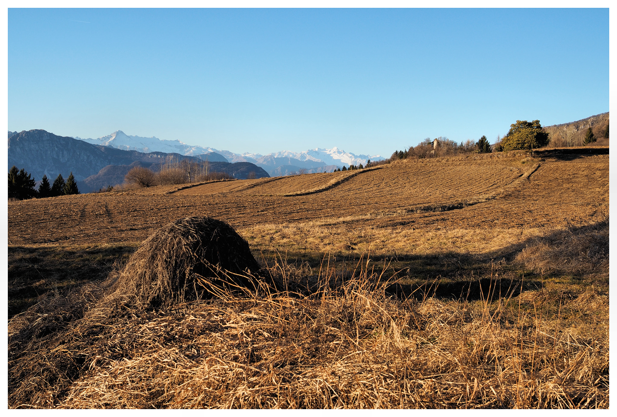 Olympus OM-D E-M10 + Sigma 19mm F2.8 DN Art sample photo. Il riposo dei campi photography