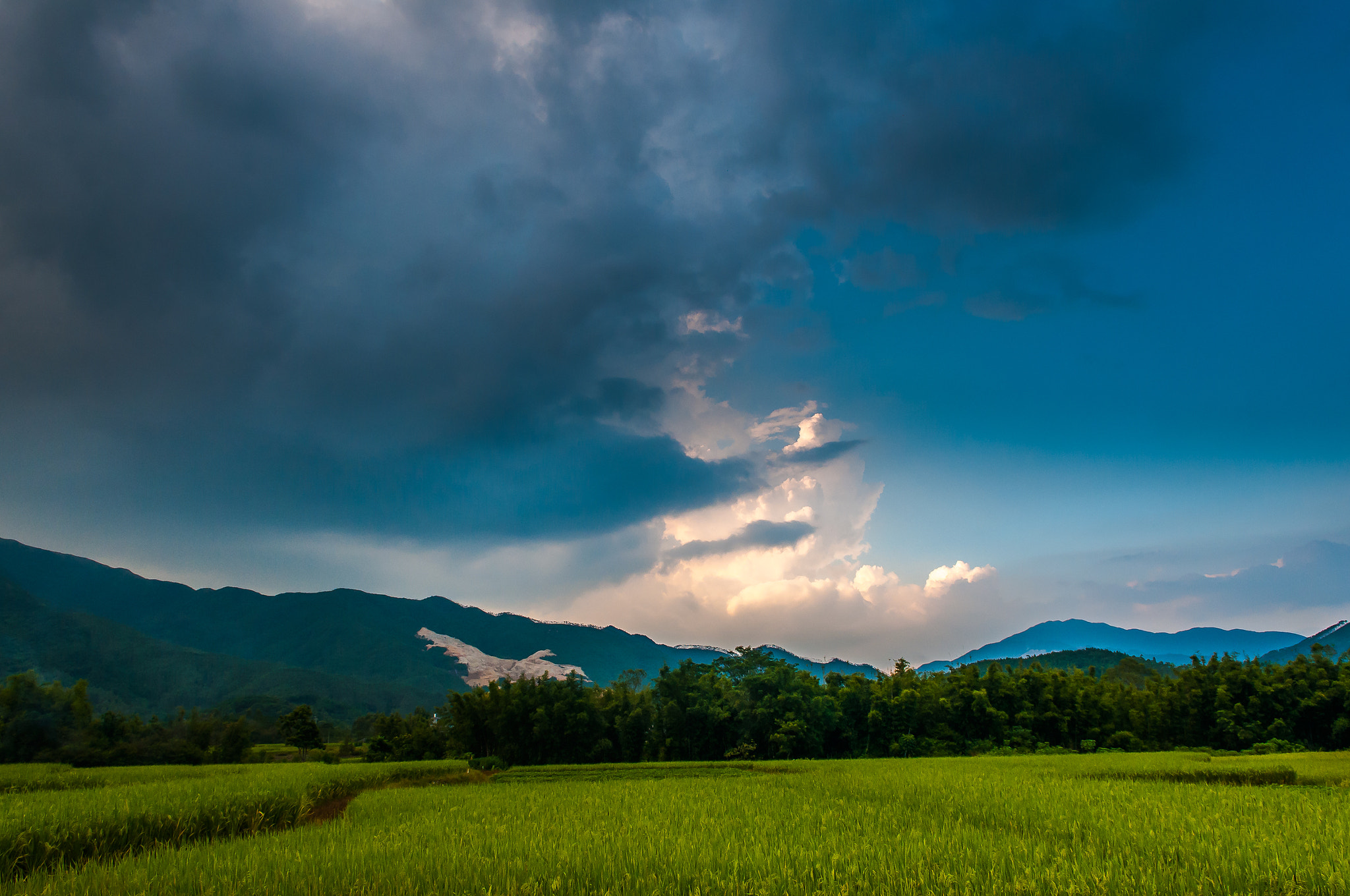 Nikon D300S sample photo. Field_1 photography