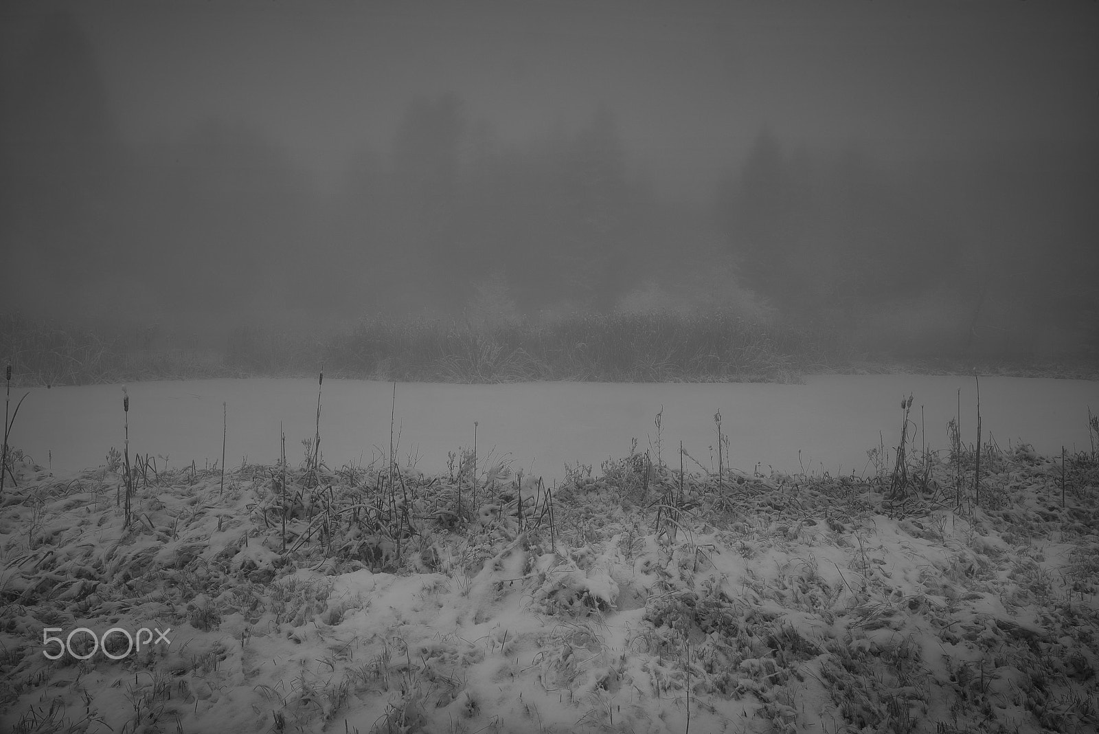 Nikon D810 sample photo. Weiher im winter photography