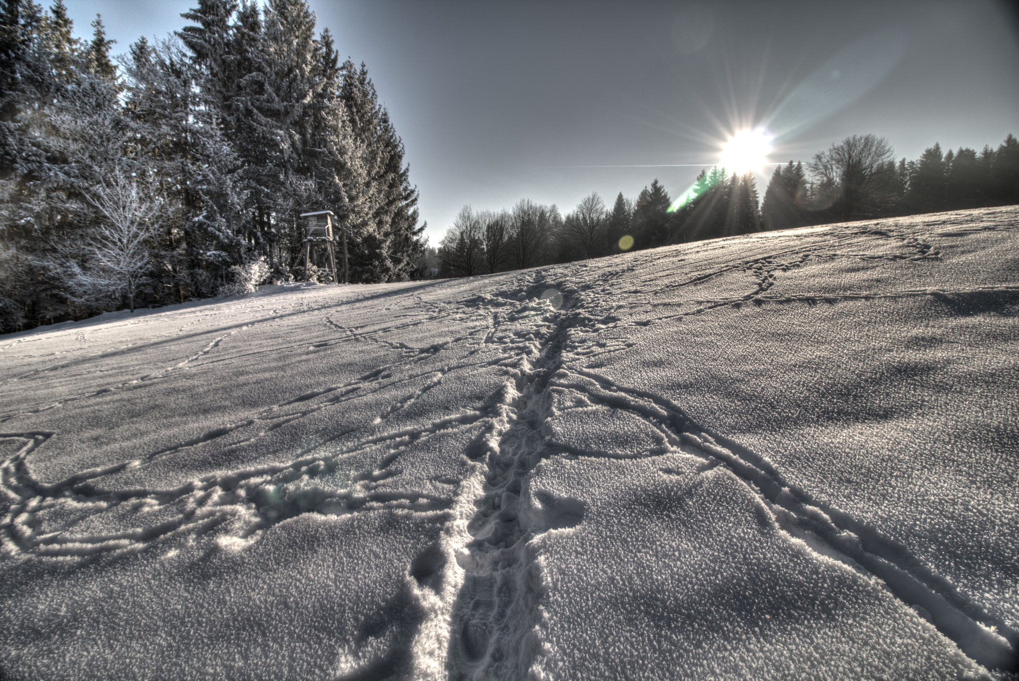 Canon EOS 760D (EOS Rebel T6s / EOS 8000D) sample photo. Šumava photography