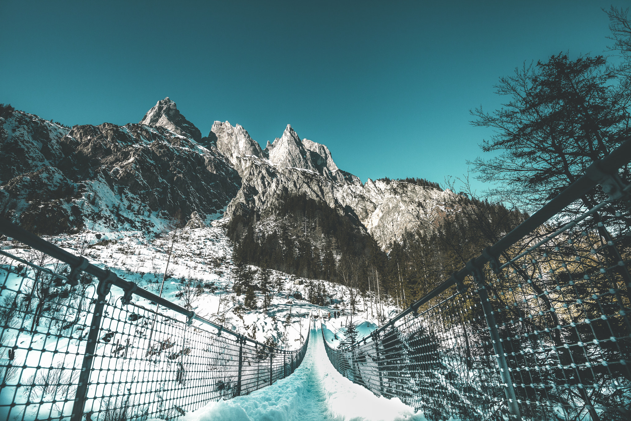 Canon EOS 5D Mark II + Canon EF 300mm f/2.8L sample photo. Suspension bridge nationalpark ramsau photography