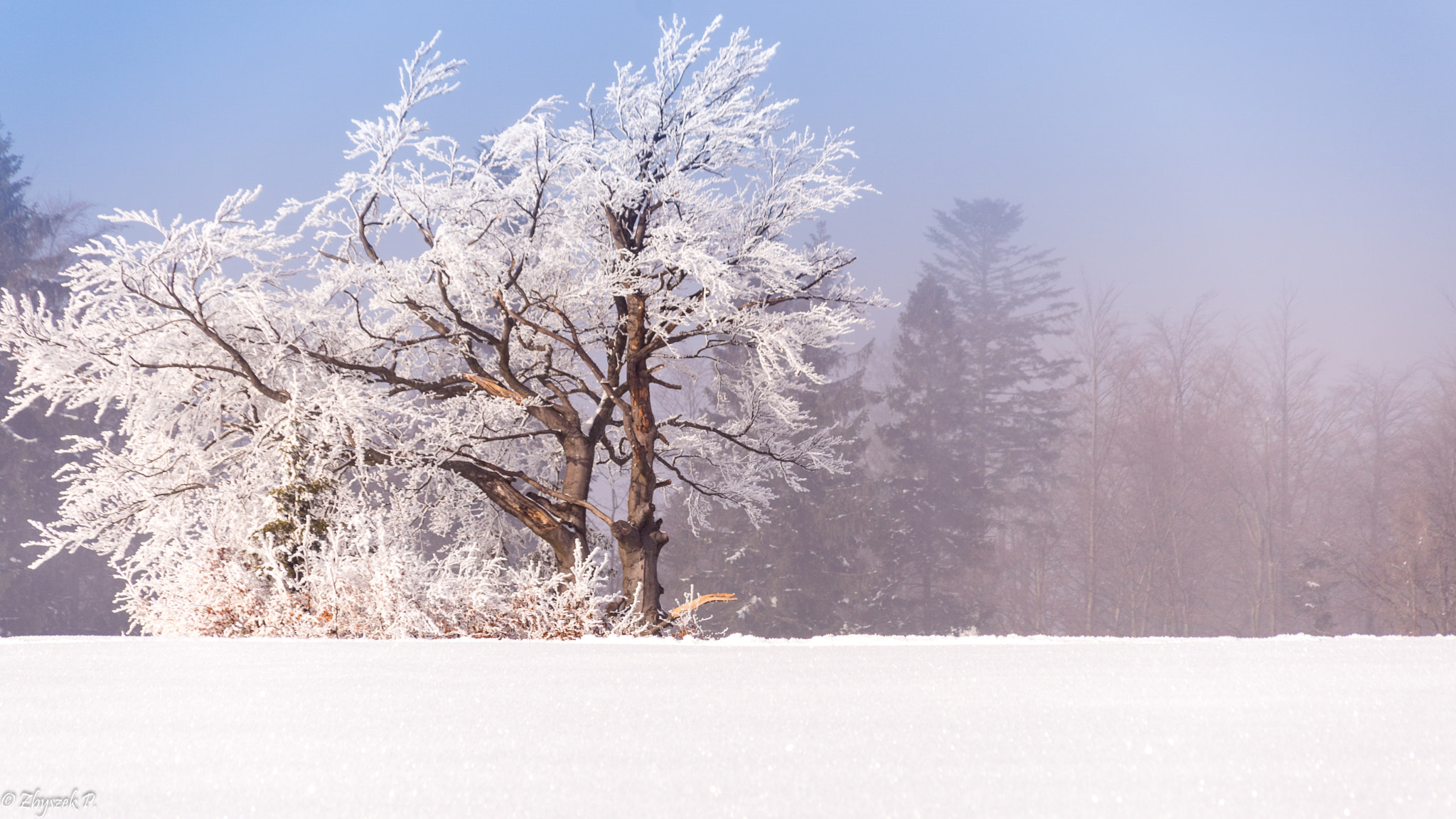 Sony ILCA-77M2 + Sigma 18-200mm F3.5-6.3 DC sample photo. Beskid sądecki photography