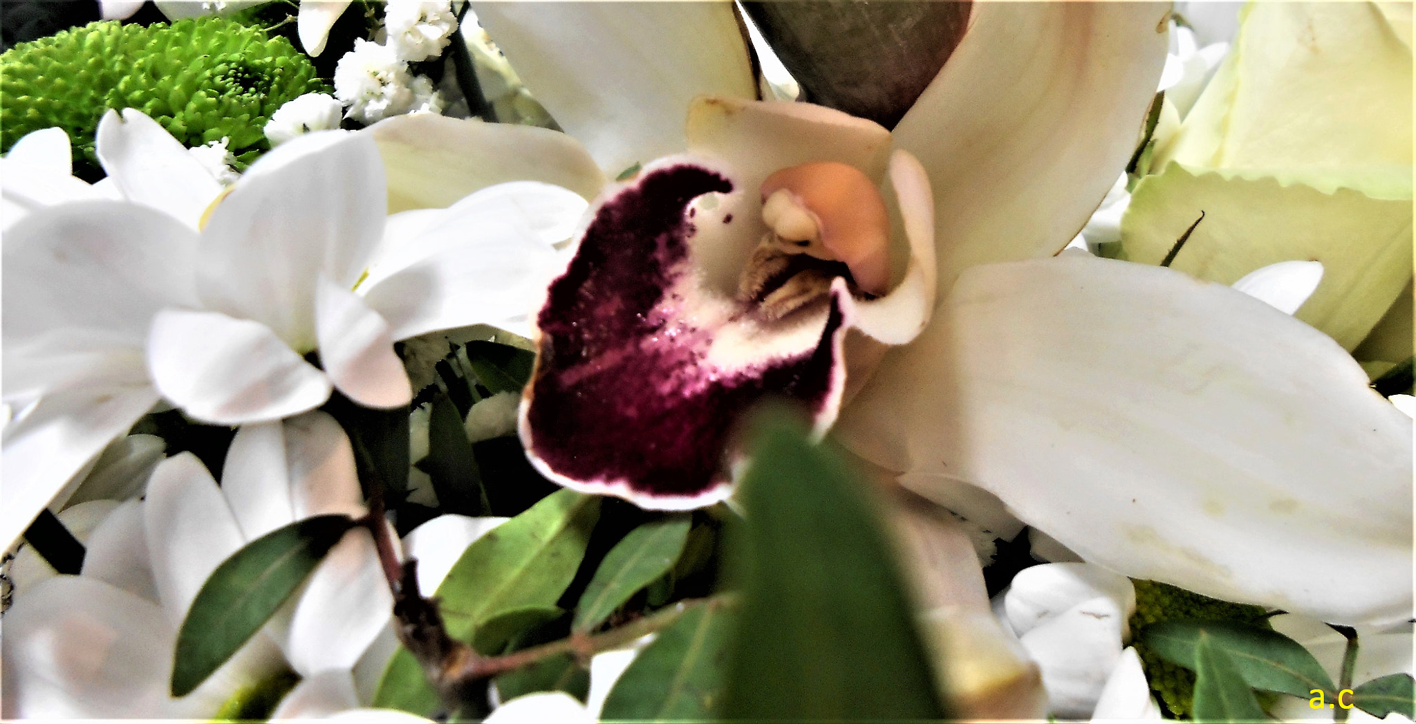 Nikon COOLPIX S2700 sample photo. Copie photography